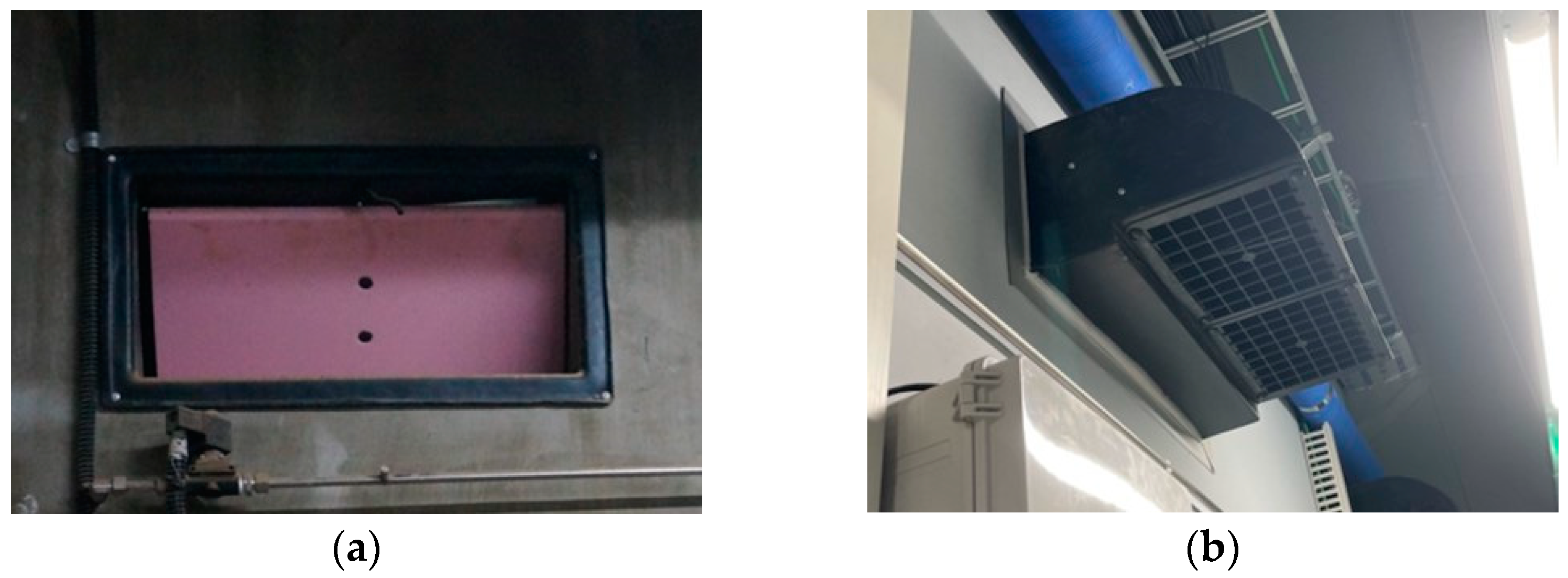 Animals 13 02451 g002