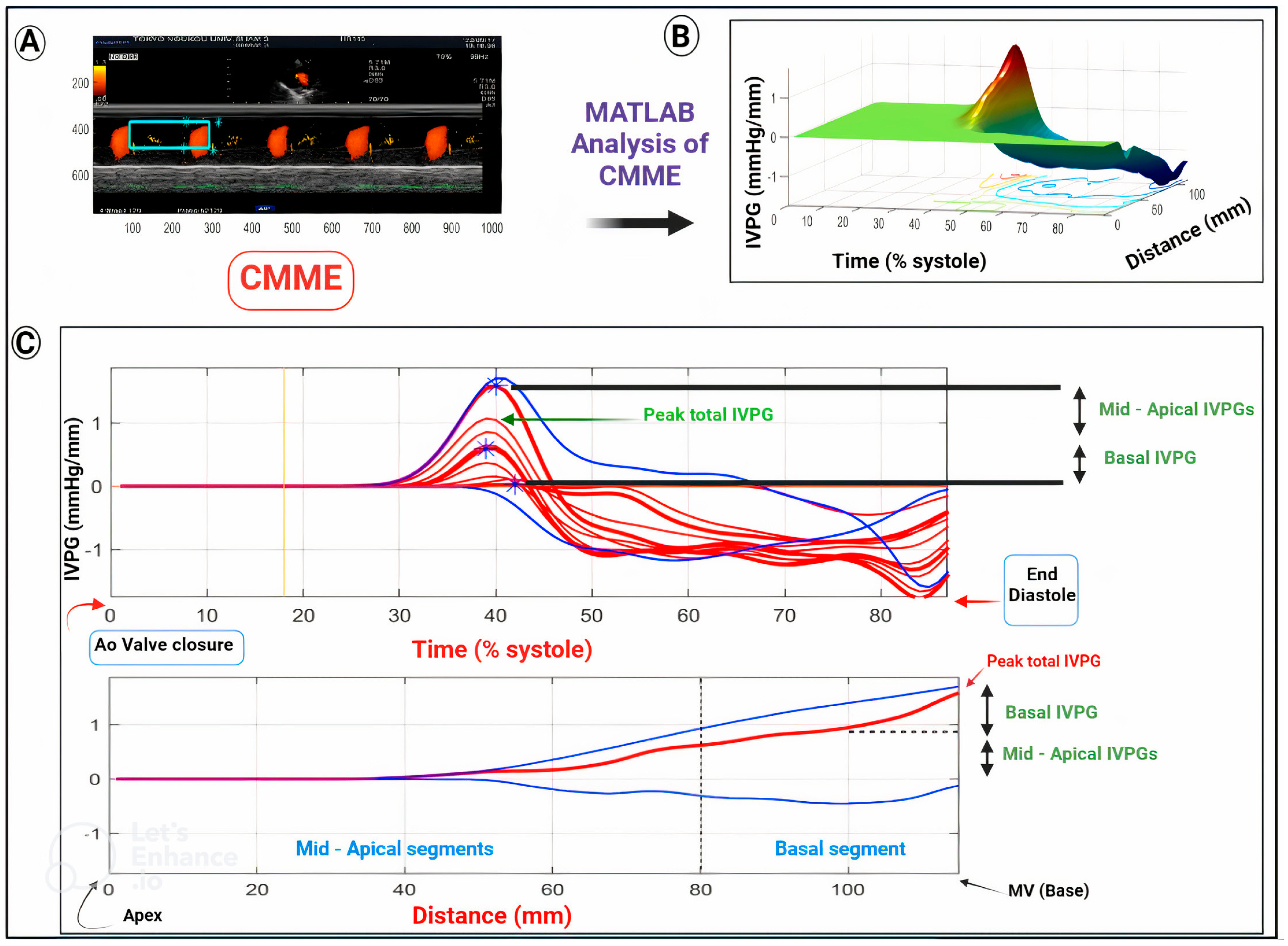 Animals 13 02452 g001