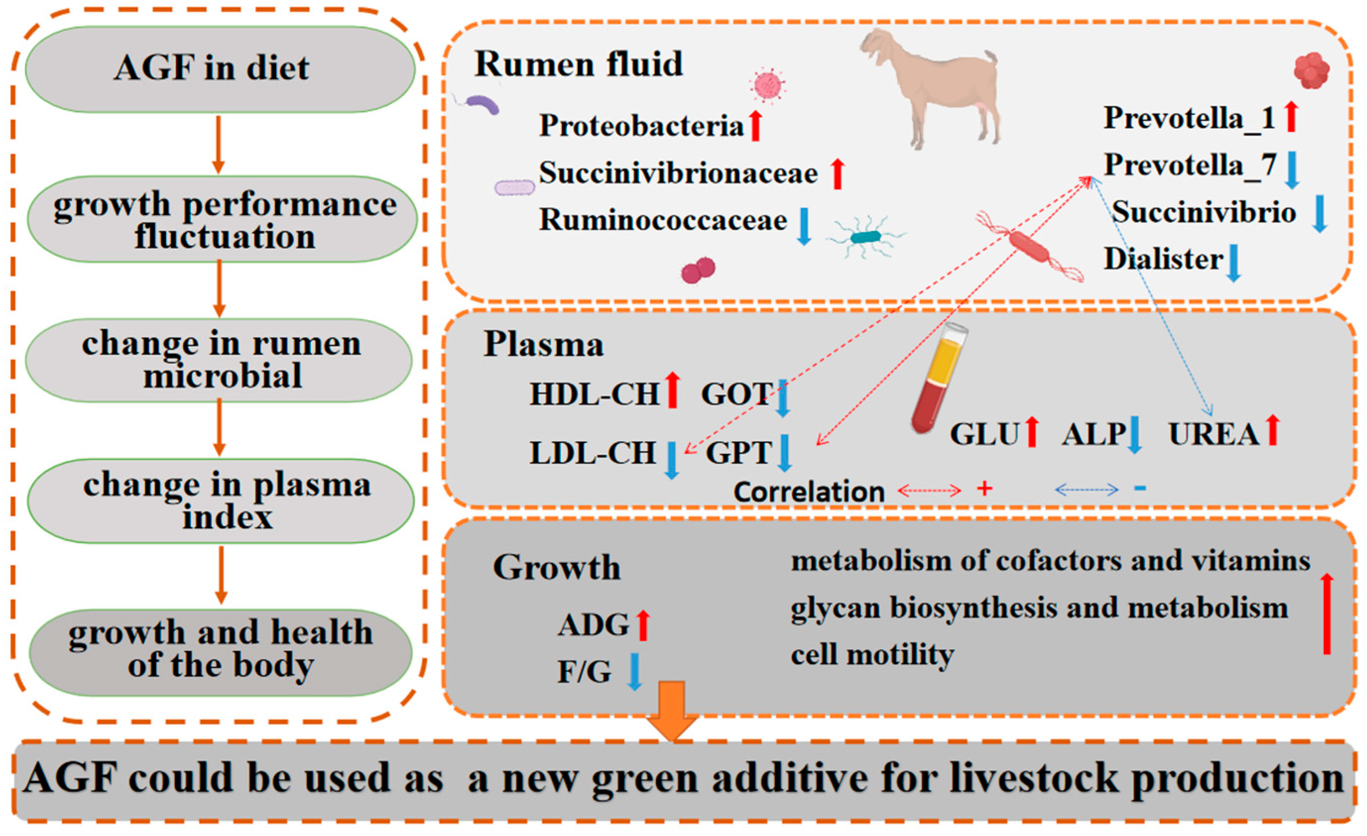Animals 13 02454 g008 Animals 13 02454 g008