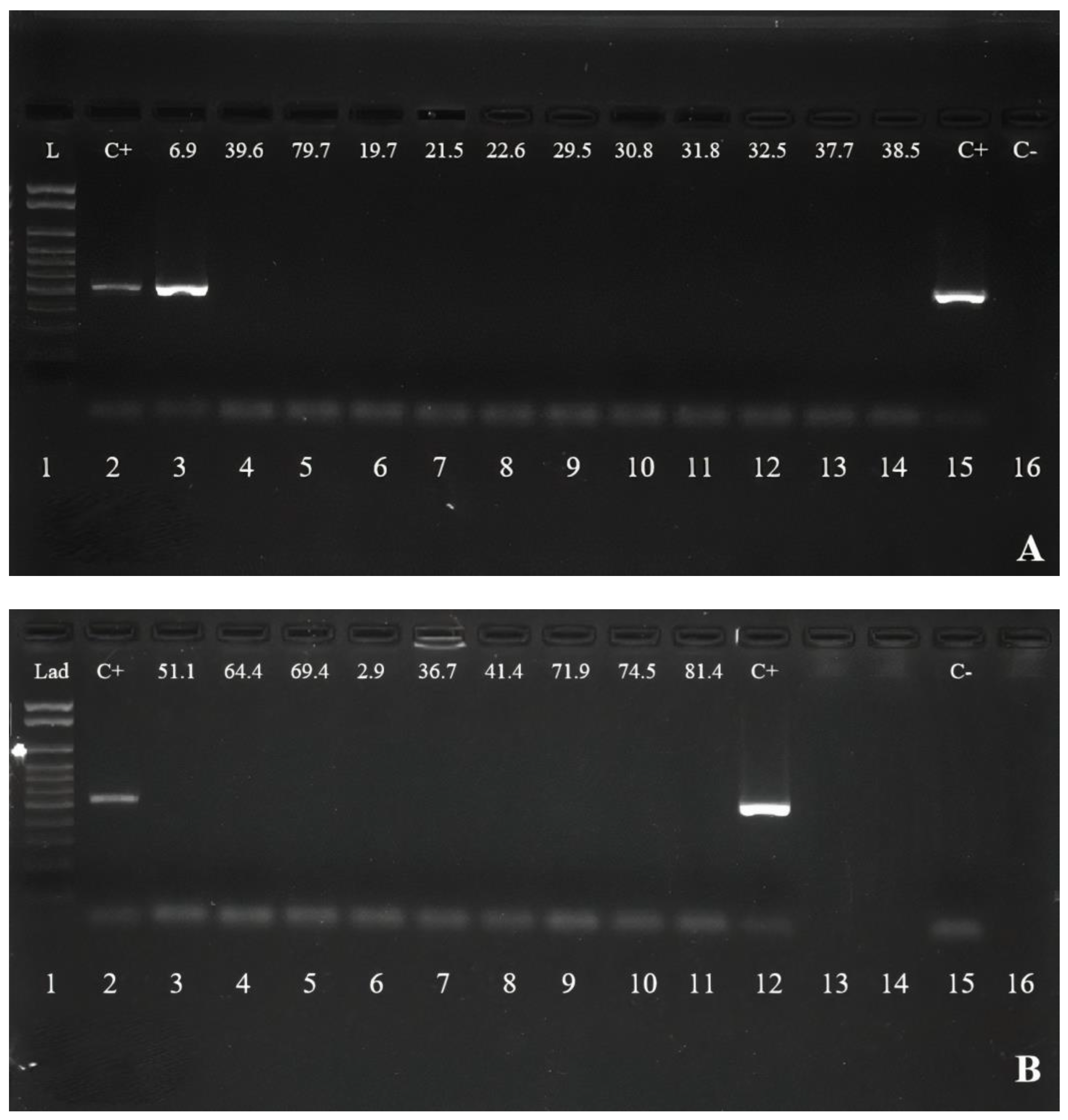 Animals 13 02467 g0a1a