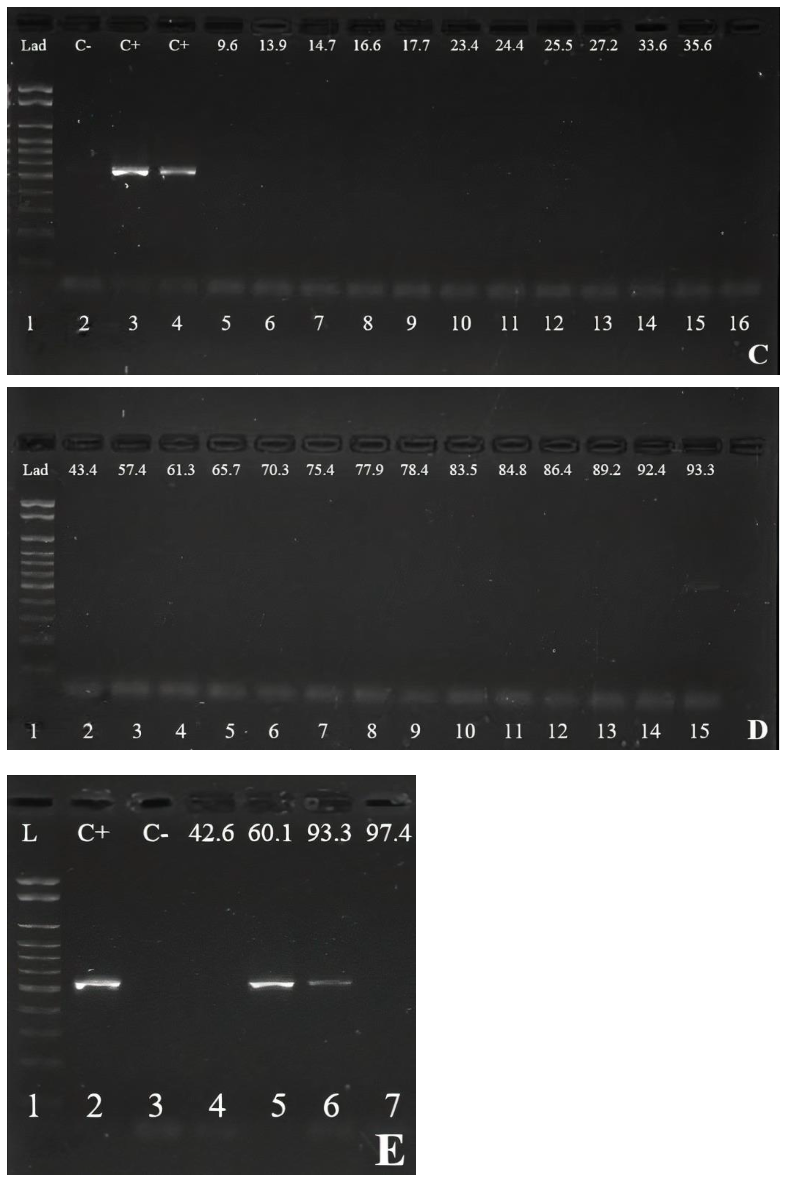 Animals 13 02467 g0a1b