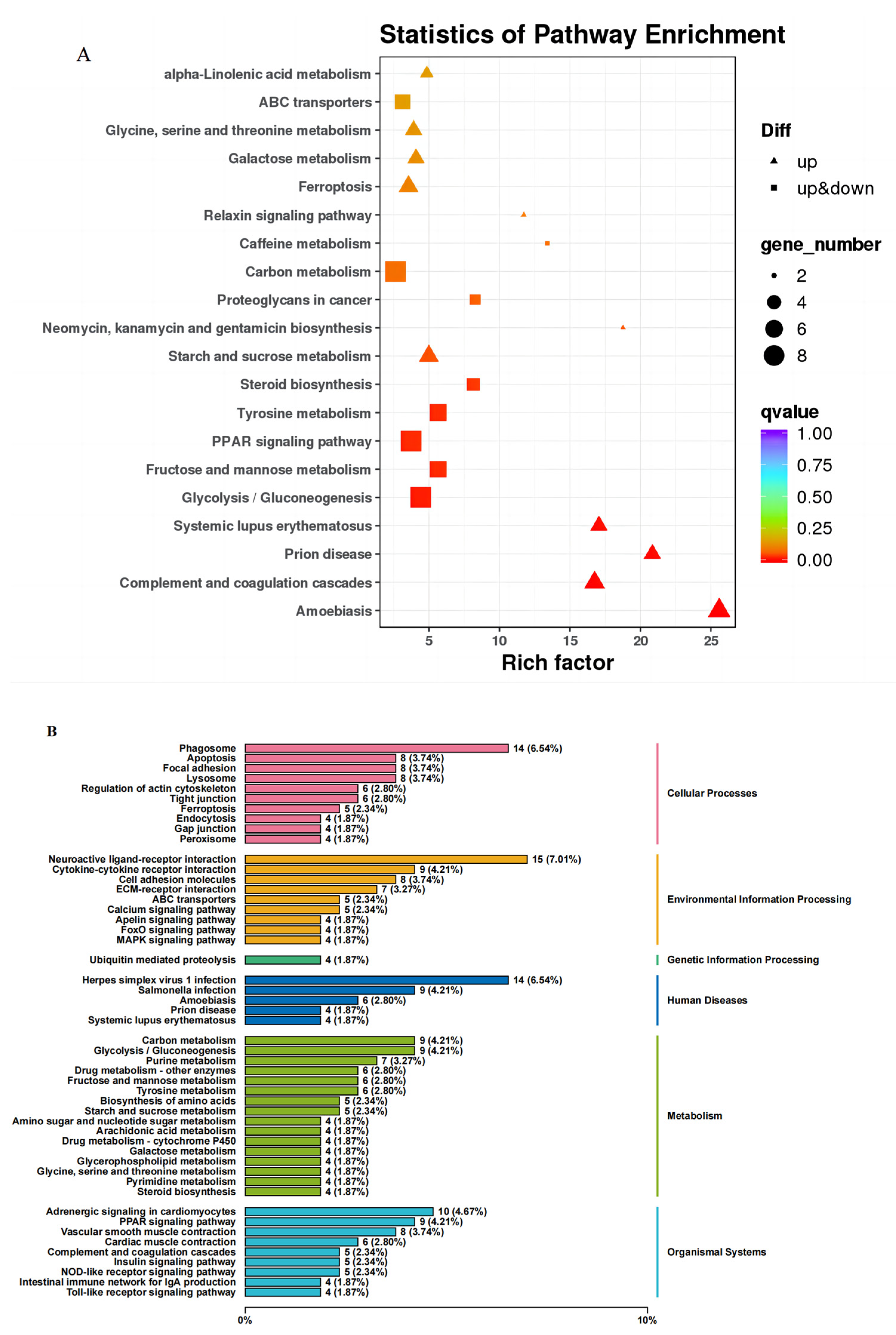 Animals 13 02482 g008 Animals 13 02482 g008