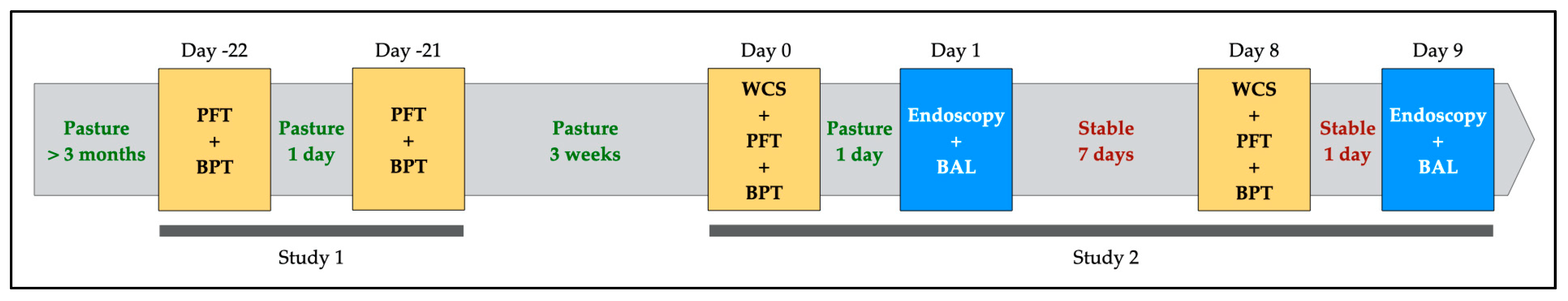 Animals 13 02485 g001 Animals 13 02485 g001