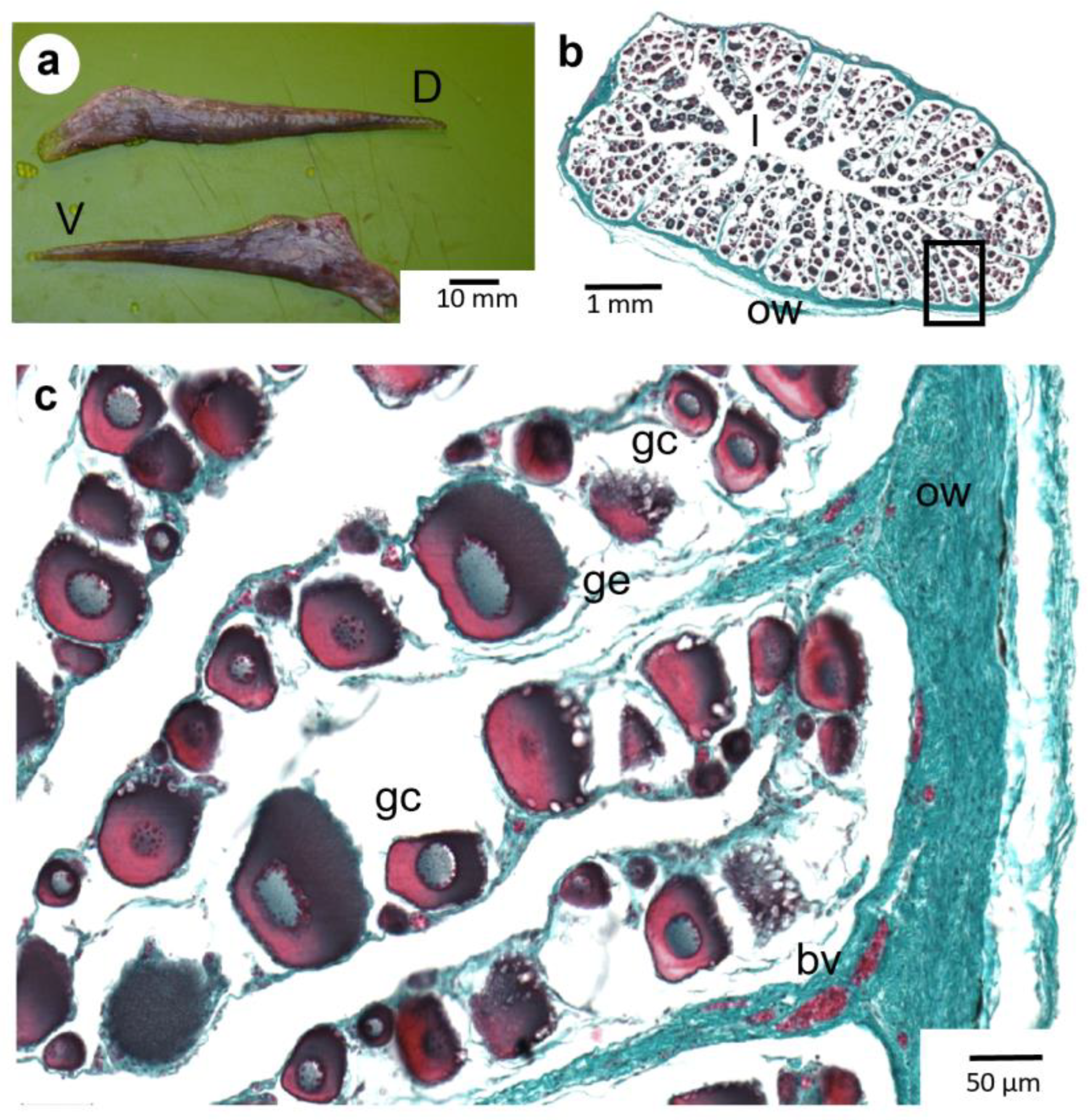 Animals 13 02506 g002