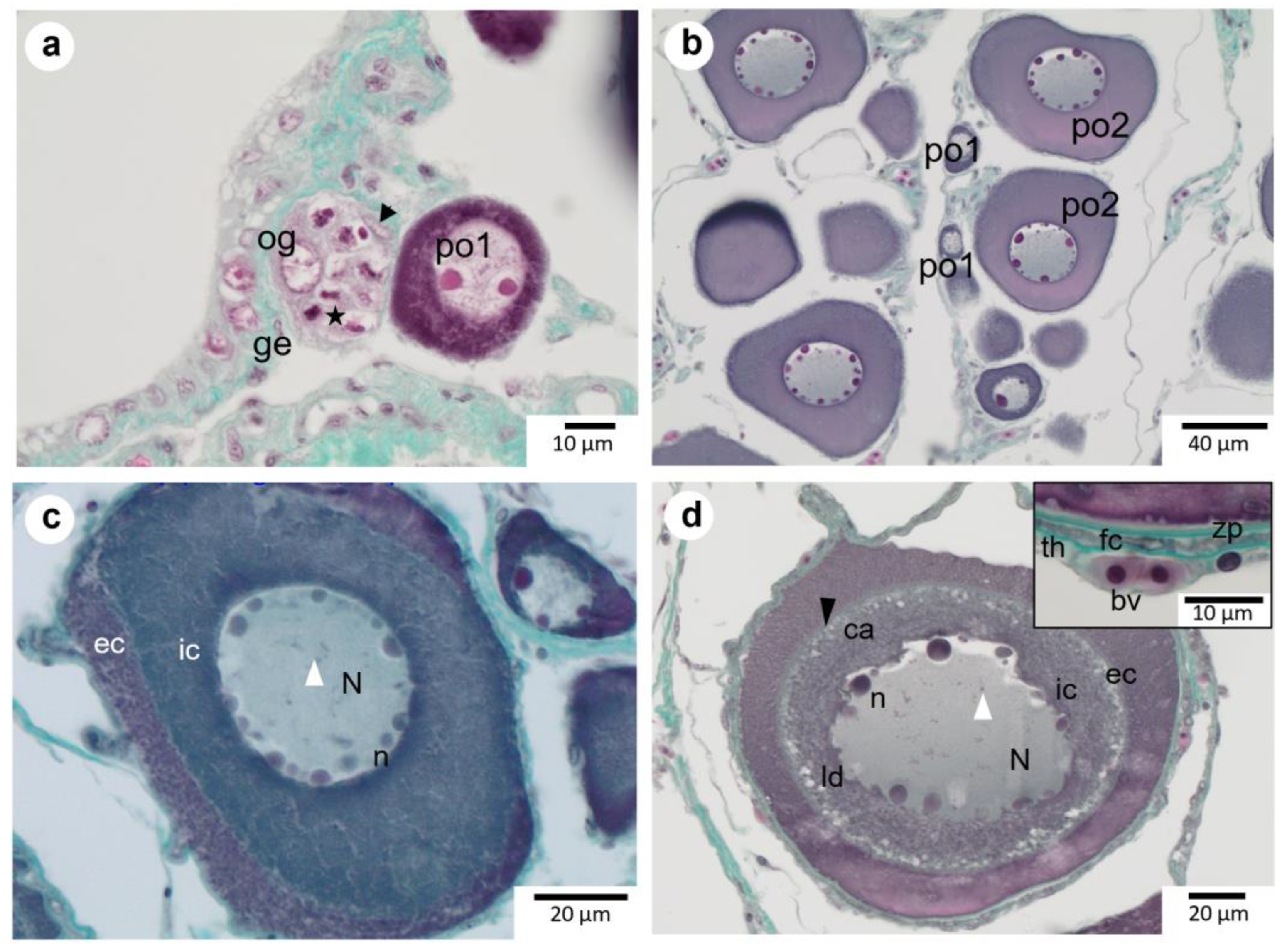 Animals 13 02506 g003