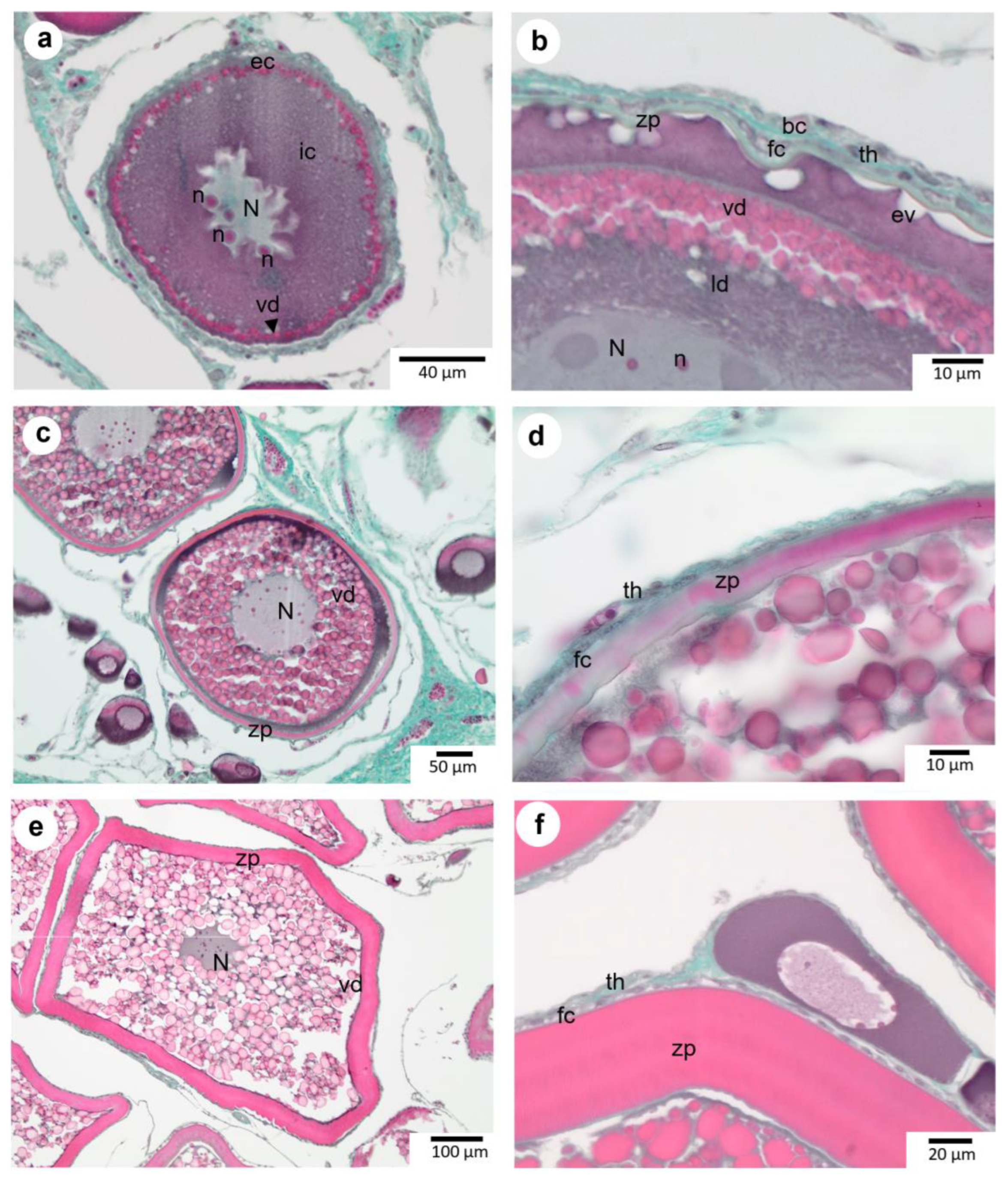 Animals 13 02506 g004