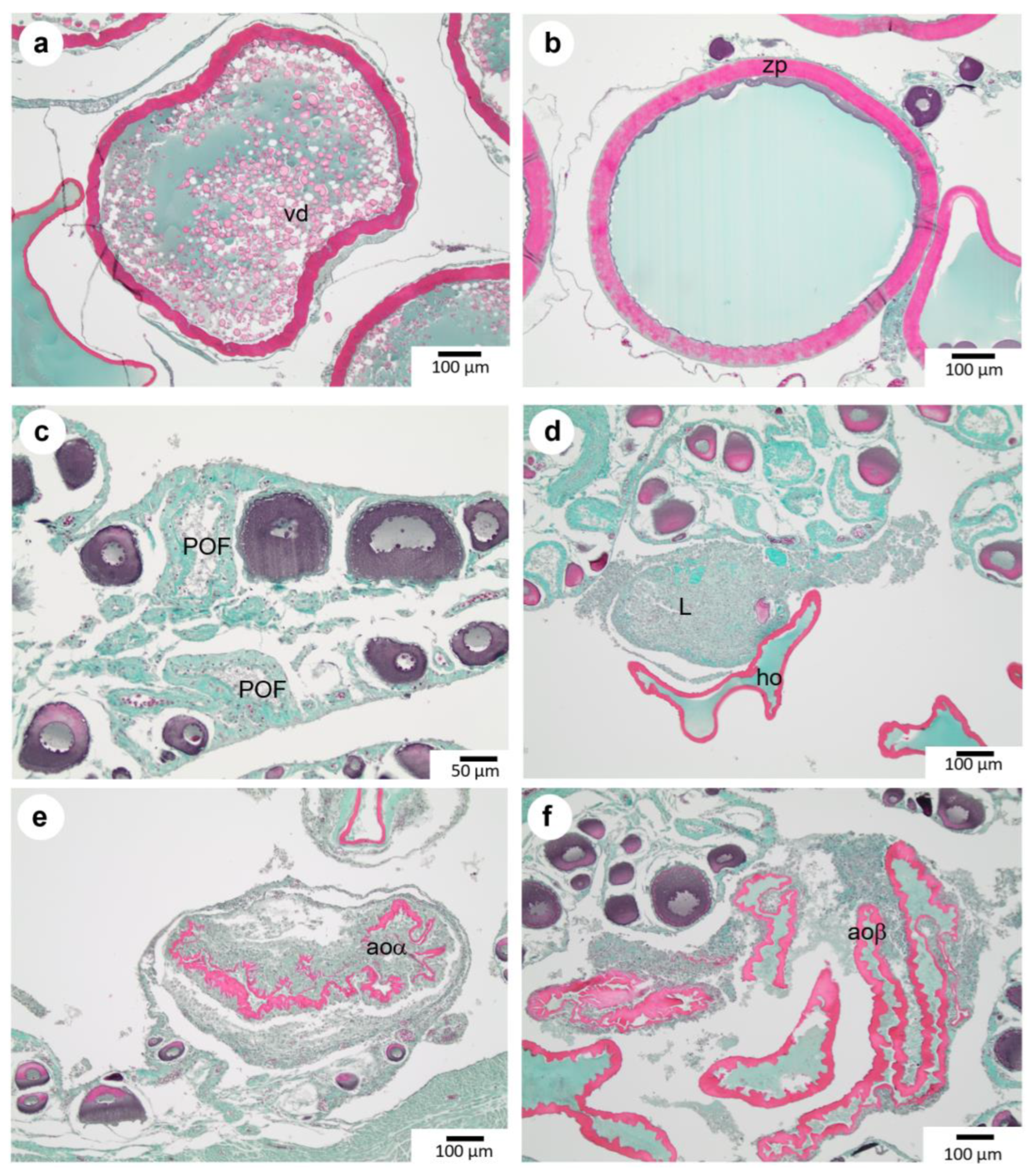 Animals 13 02506 g005