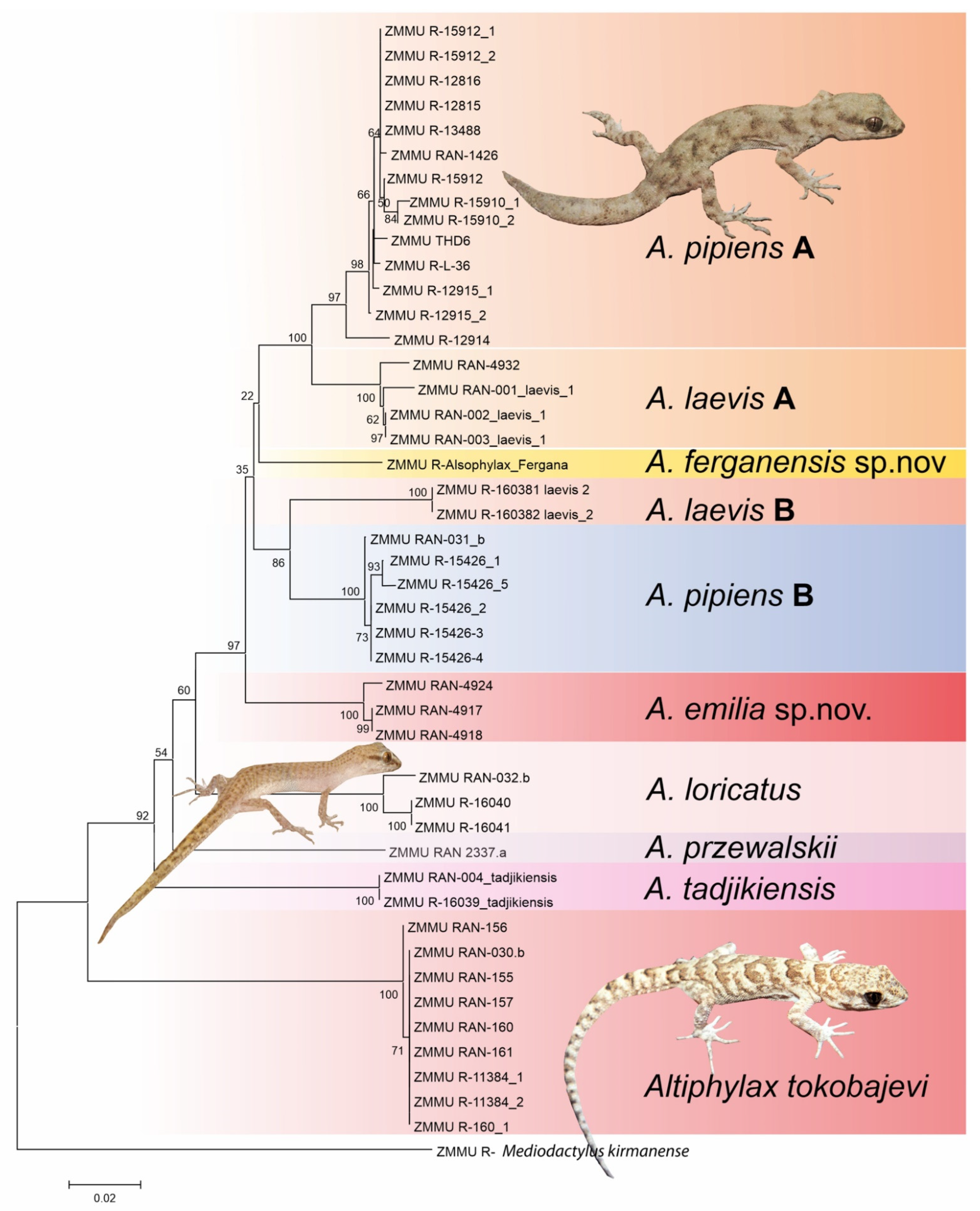 Animals 13 02516 g001 Animals 13 02516 g001