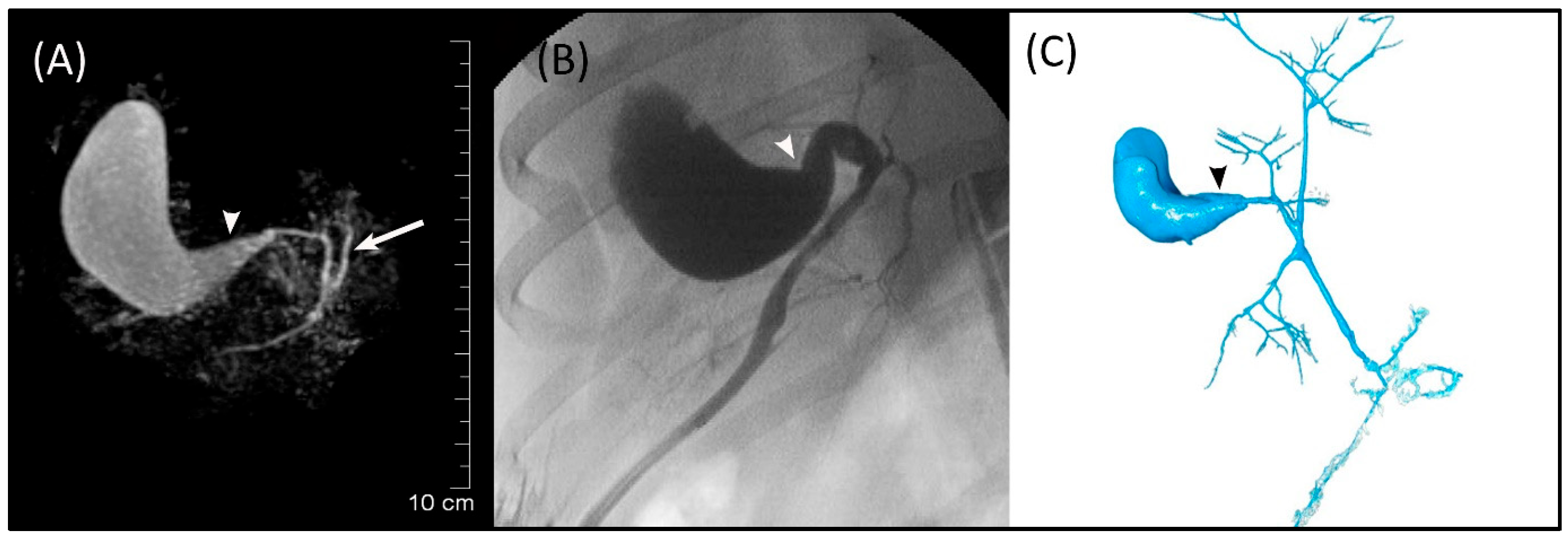 Animals 13 02517 g003