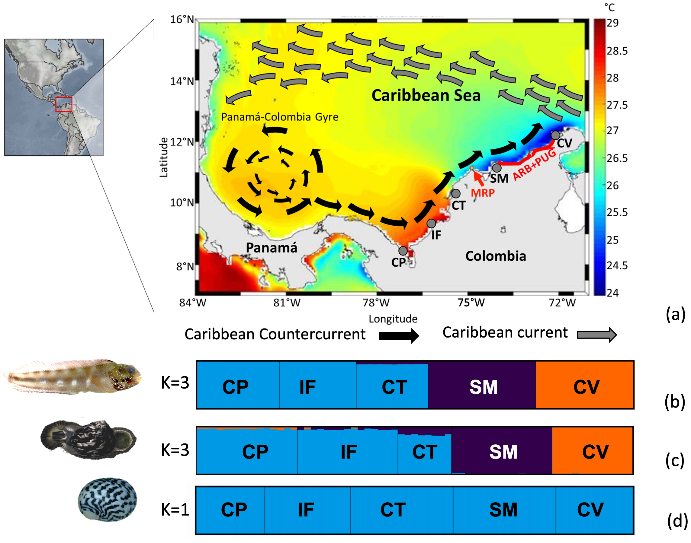 Animals 13 02528 g001