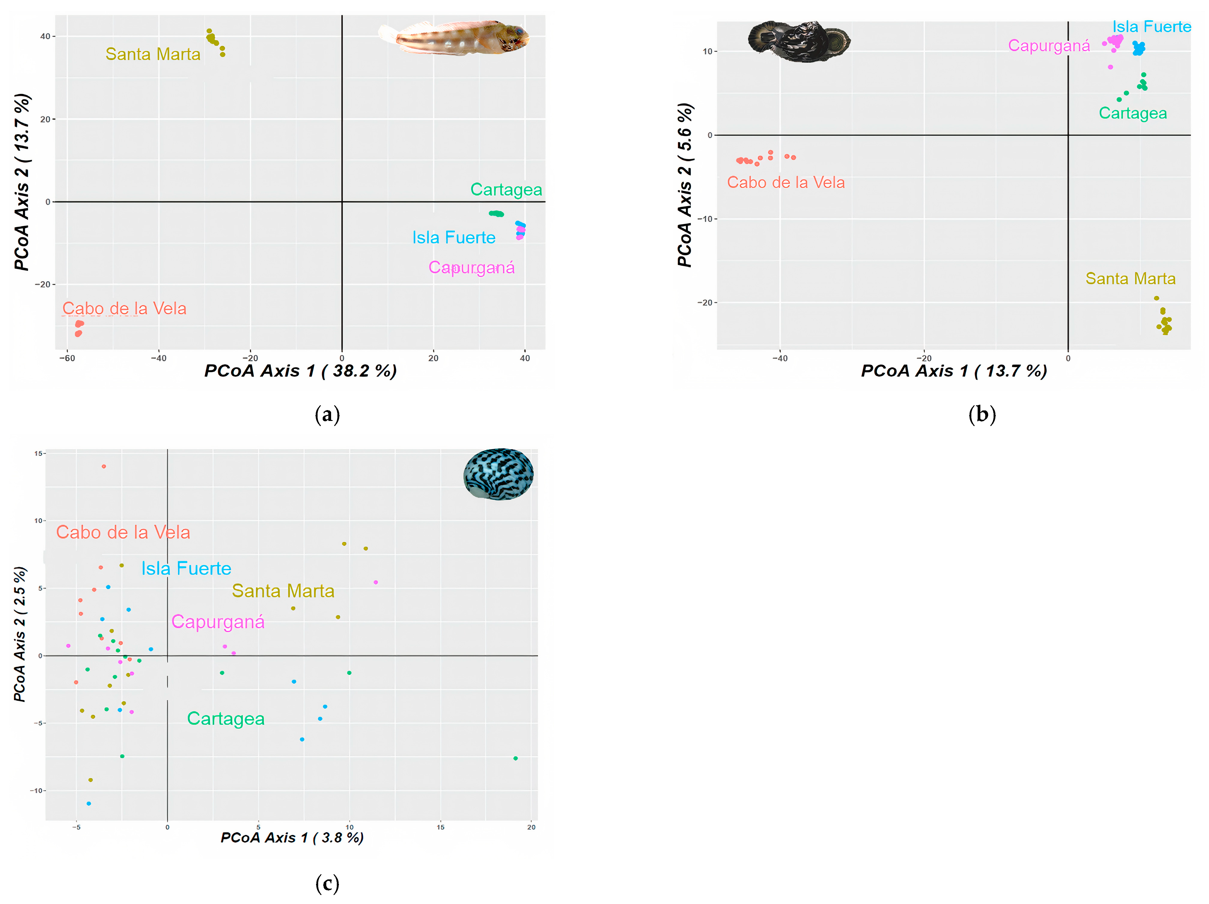 Animals 13 02528 g002