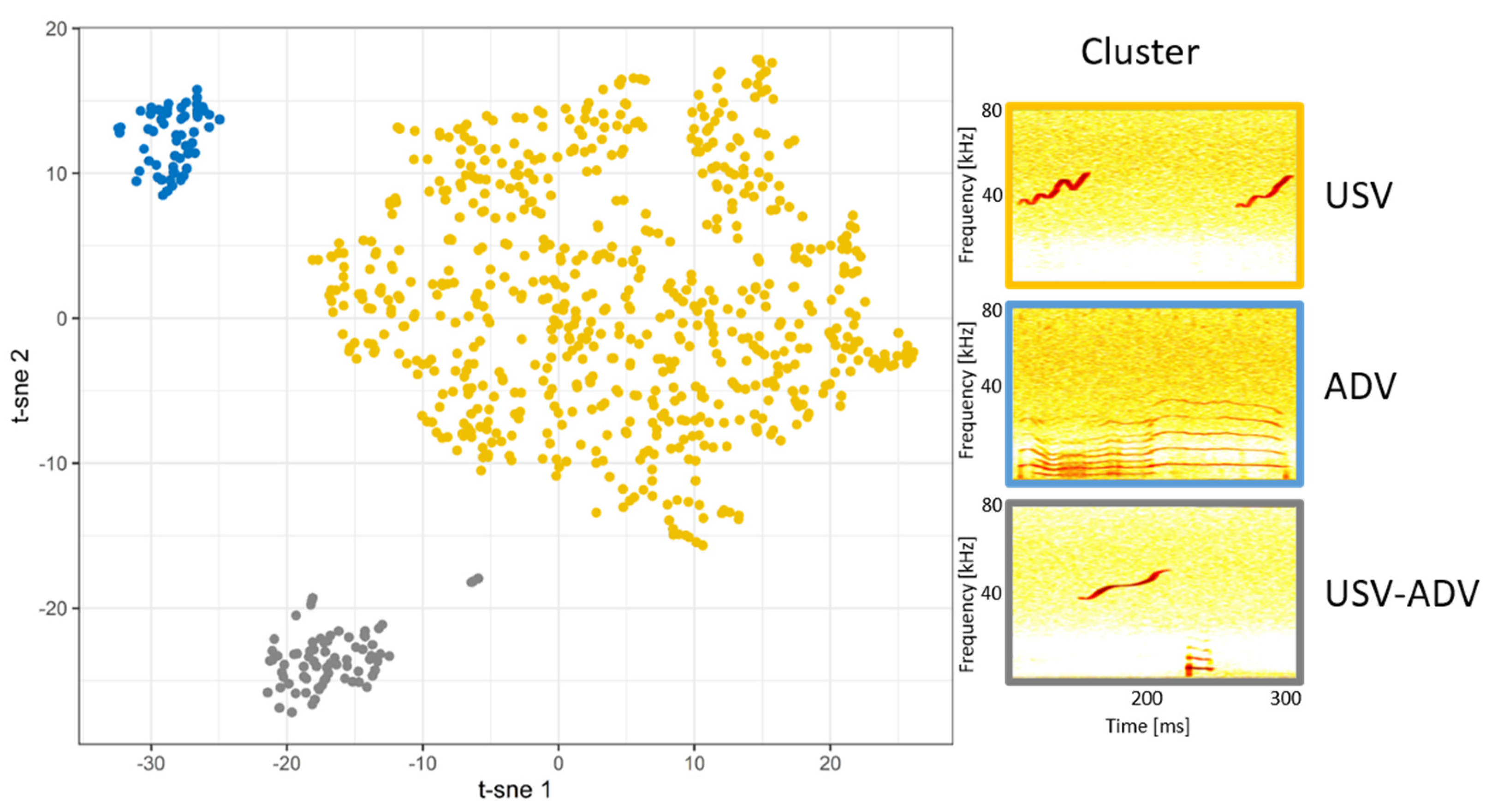 Animals 13 02553 g001