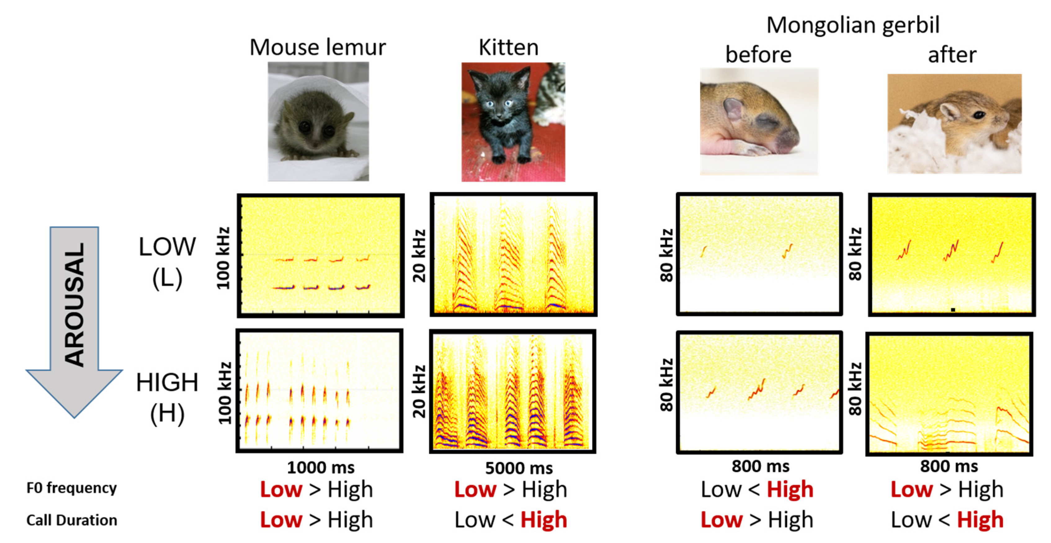 Animals 13 02553 g007