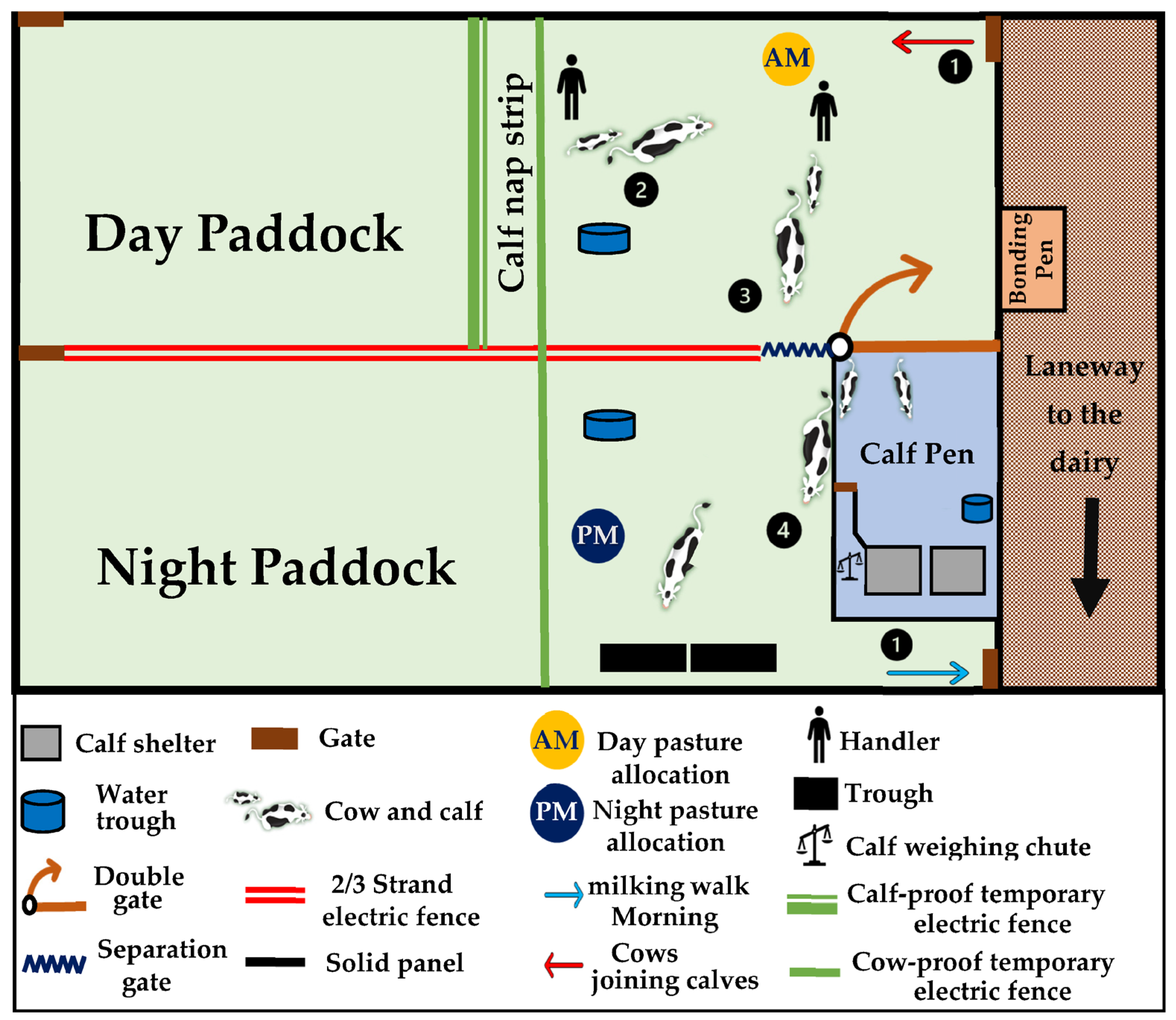 Animals 13 02571 g001 Animals 13 02571 g001