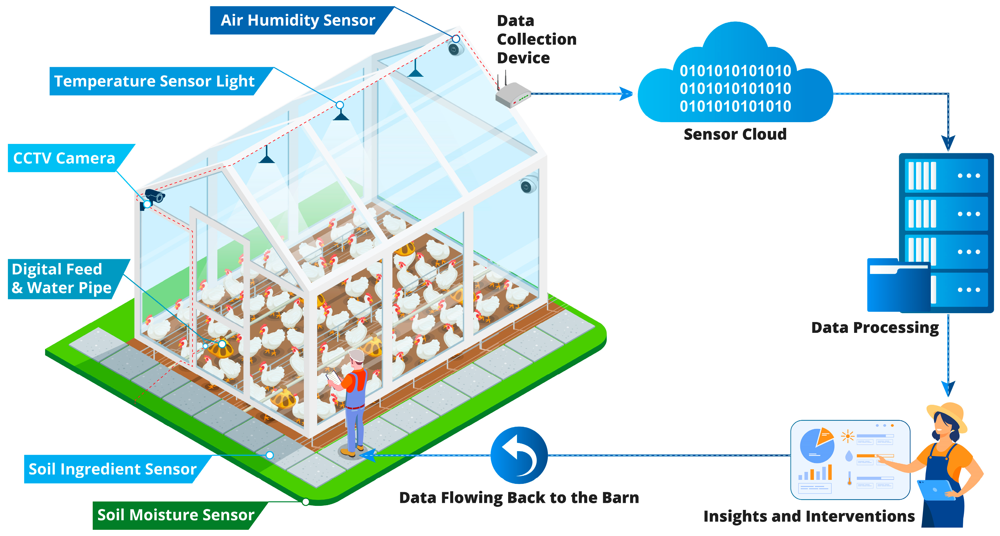 Animals 13 02585 g002