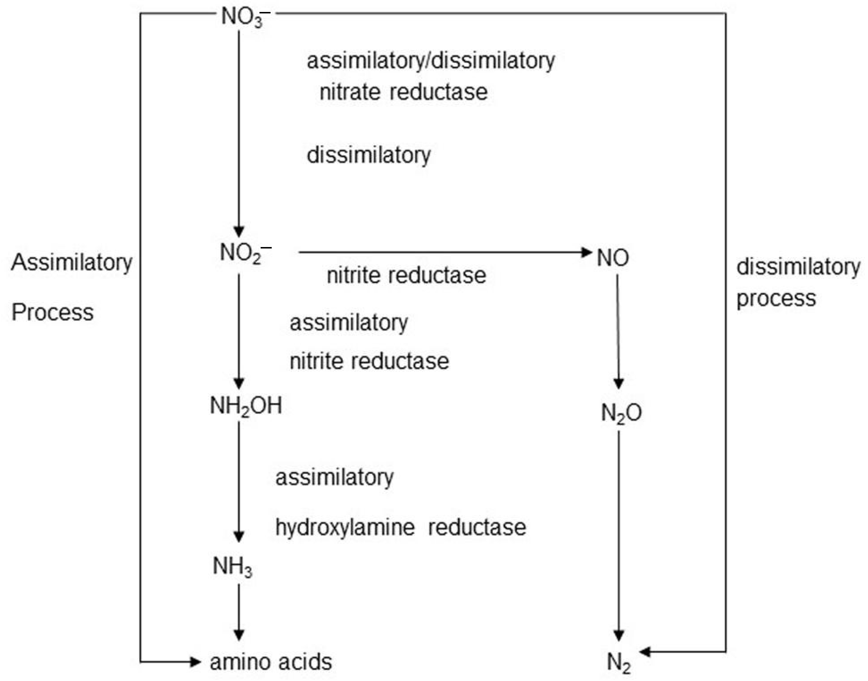 Animals 13 02586 g001