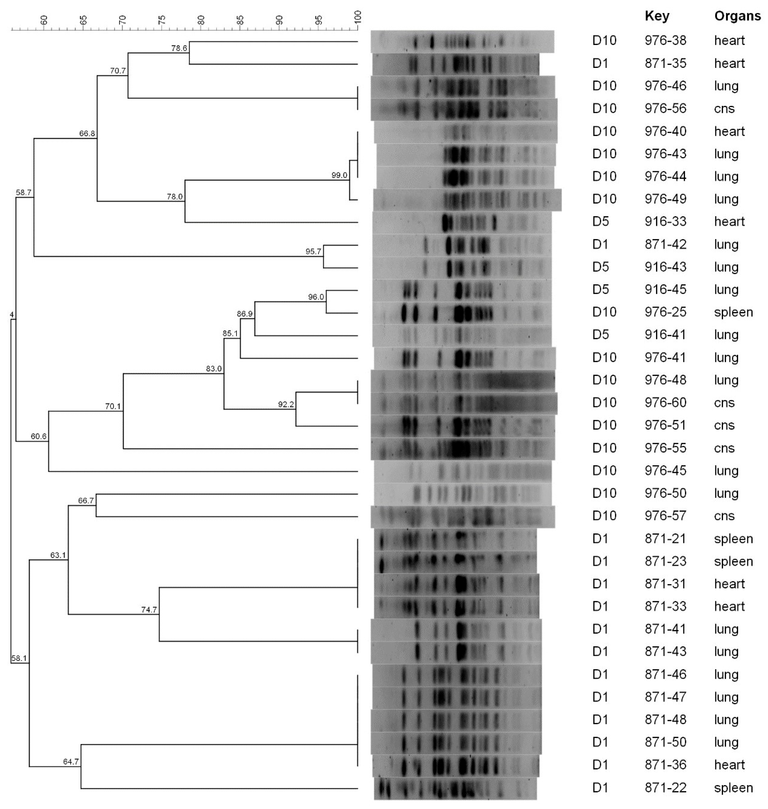 Animals 13 02590 g001 Animals 13 02590 g001