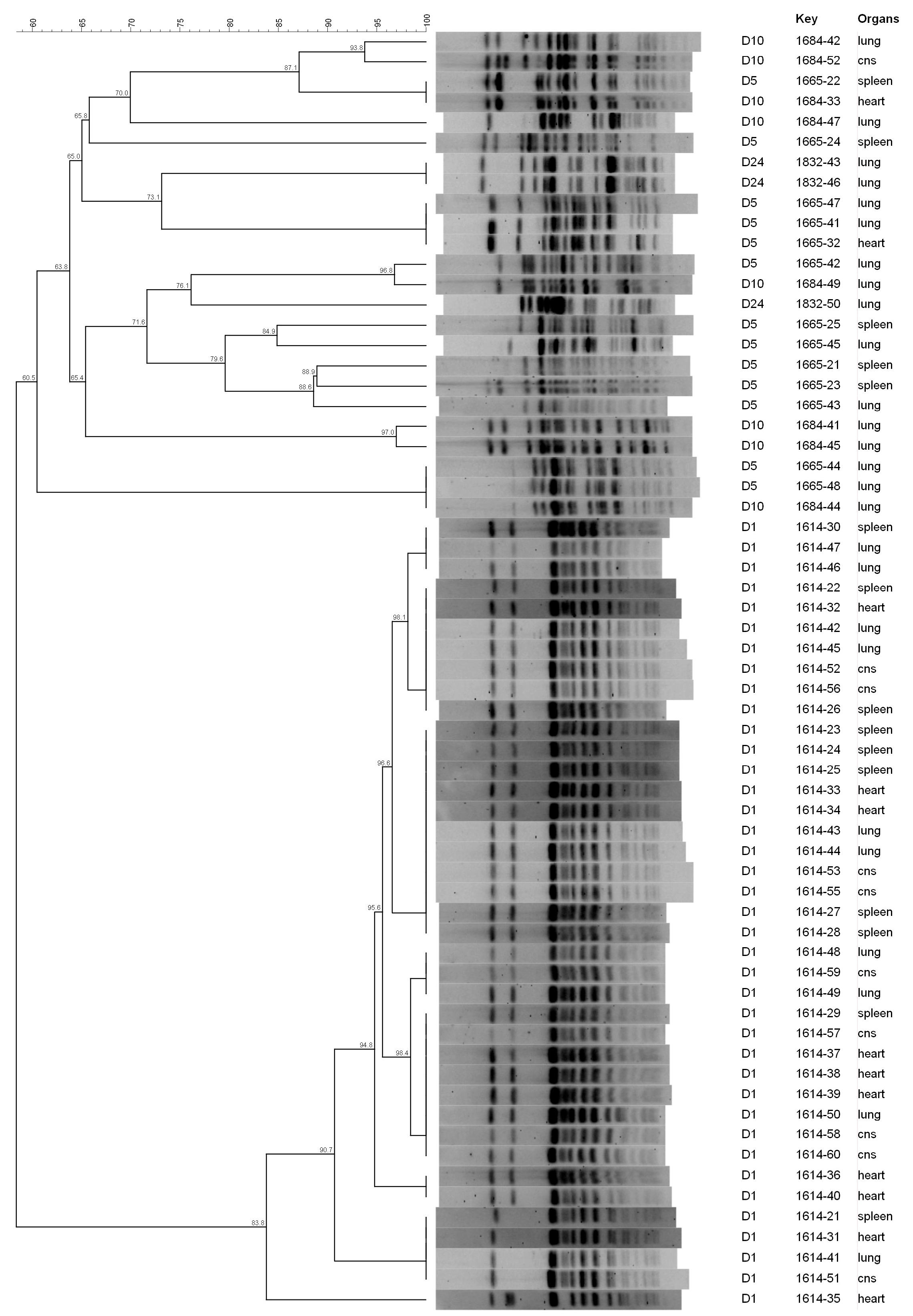 Animals 13 02590 g002 Animals 13 02590 g002