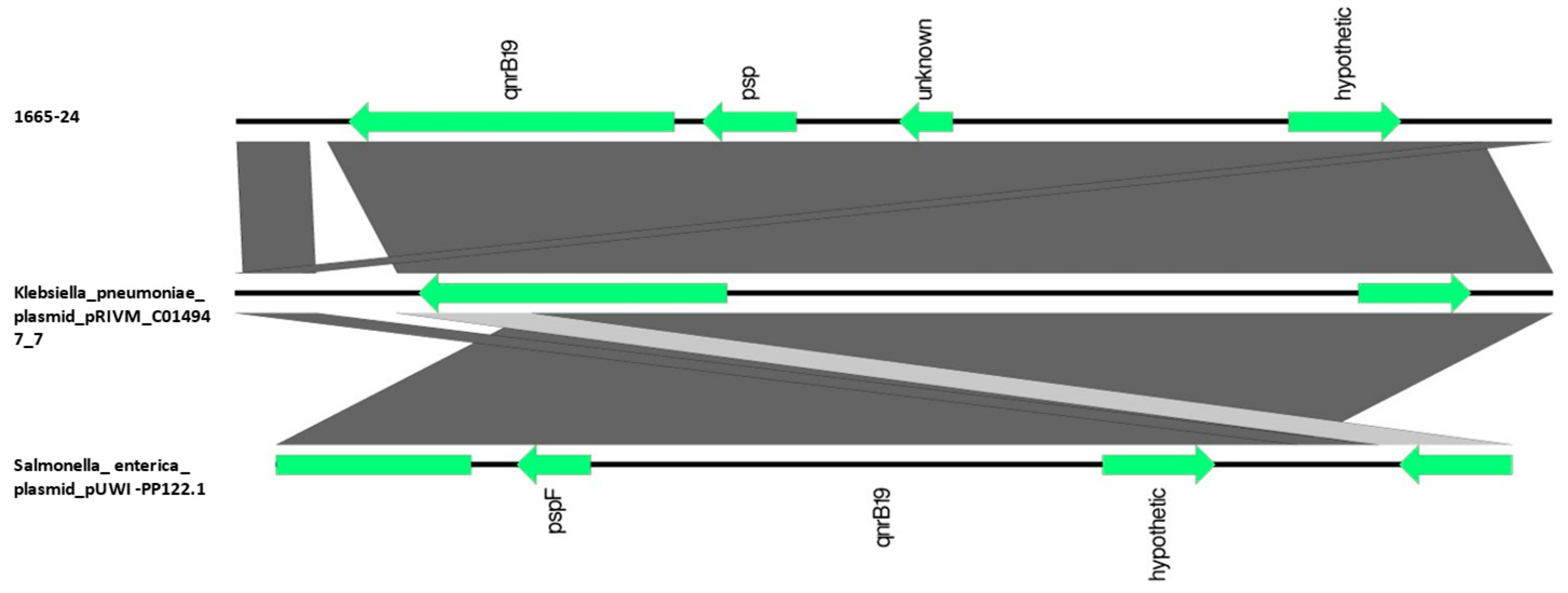 Animals 13 02590 g006 Animals 13 02590 g006