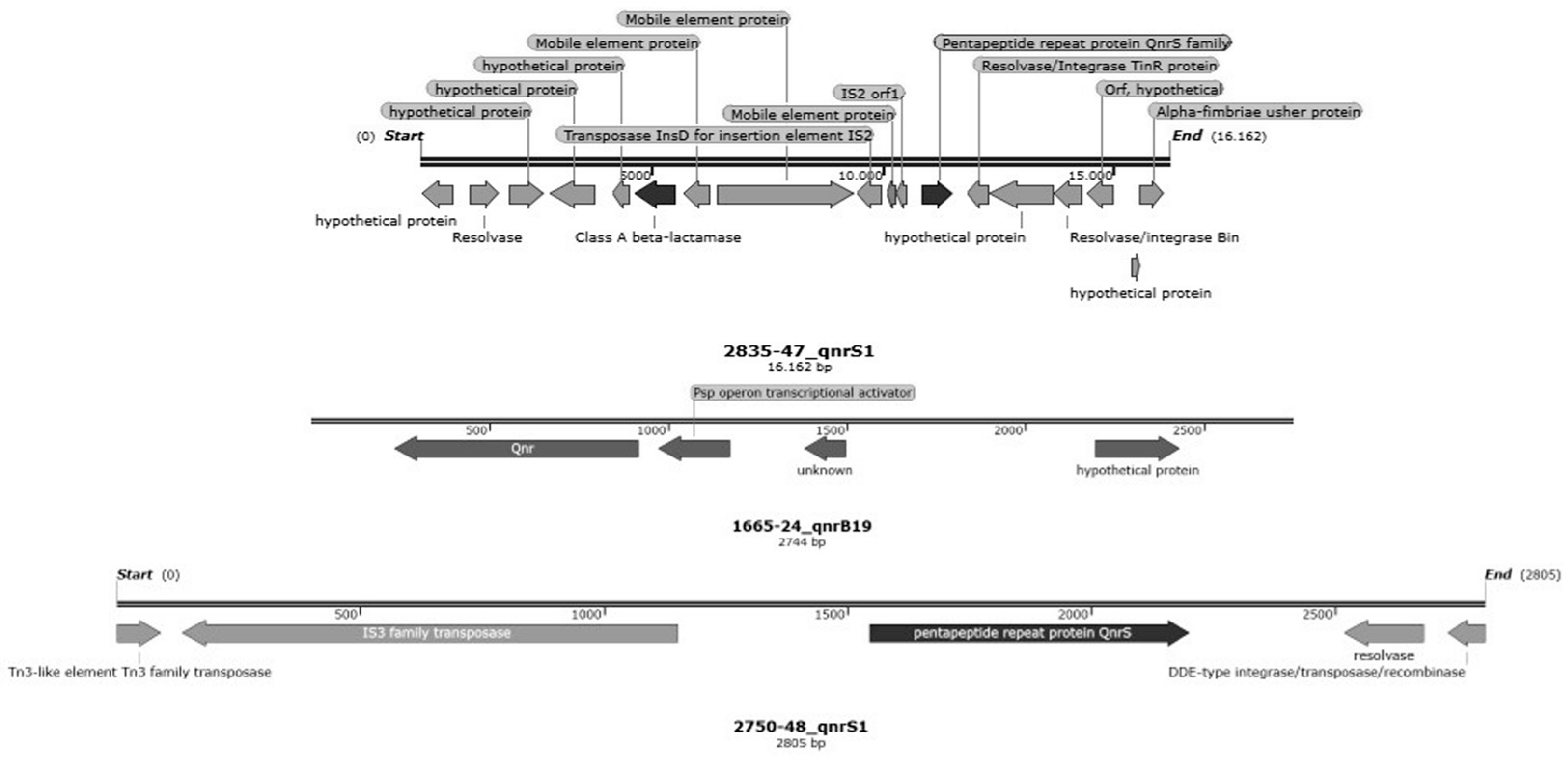 Animals 13 02590 g007 Animals 13 02590 g007