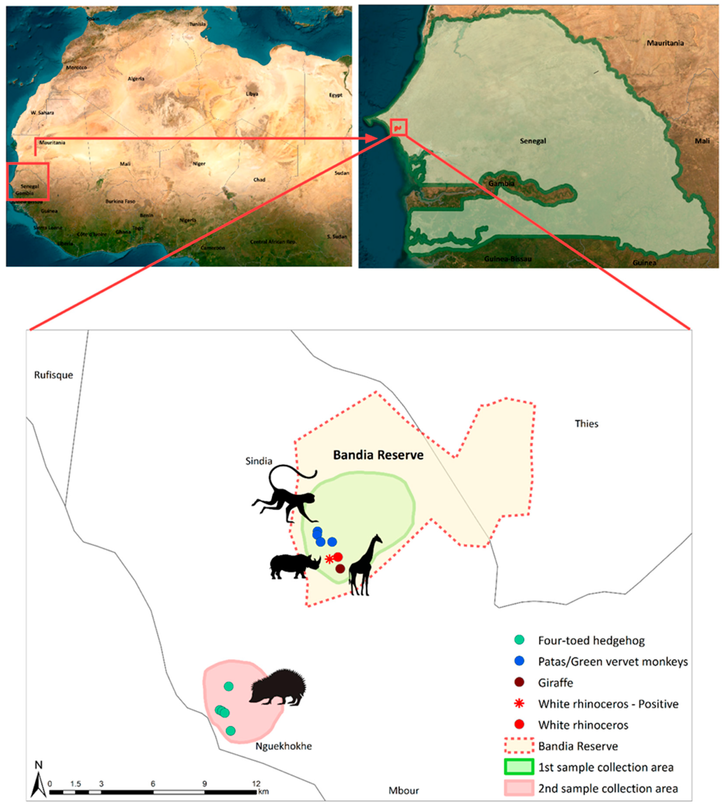 Animals 13 02593 g001