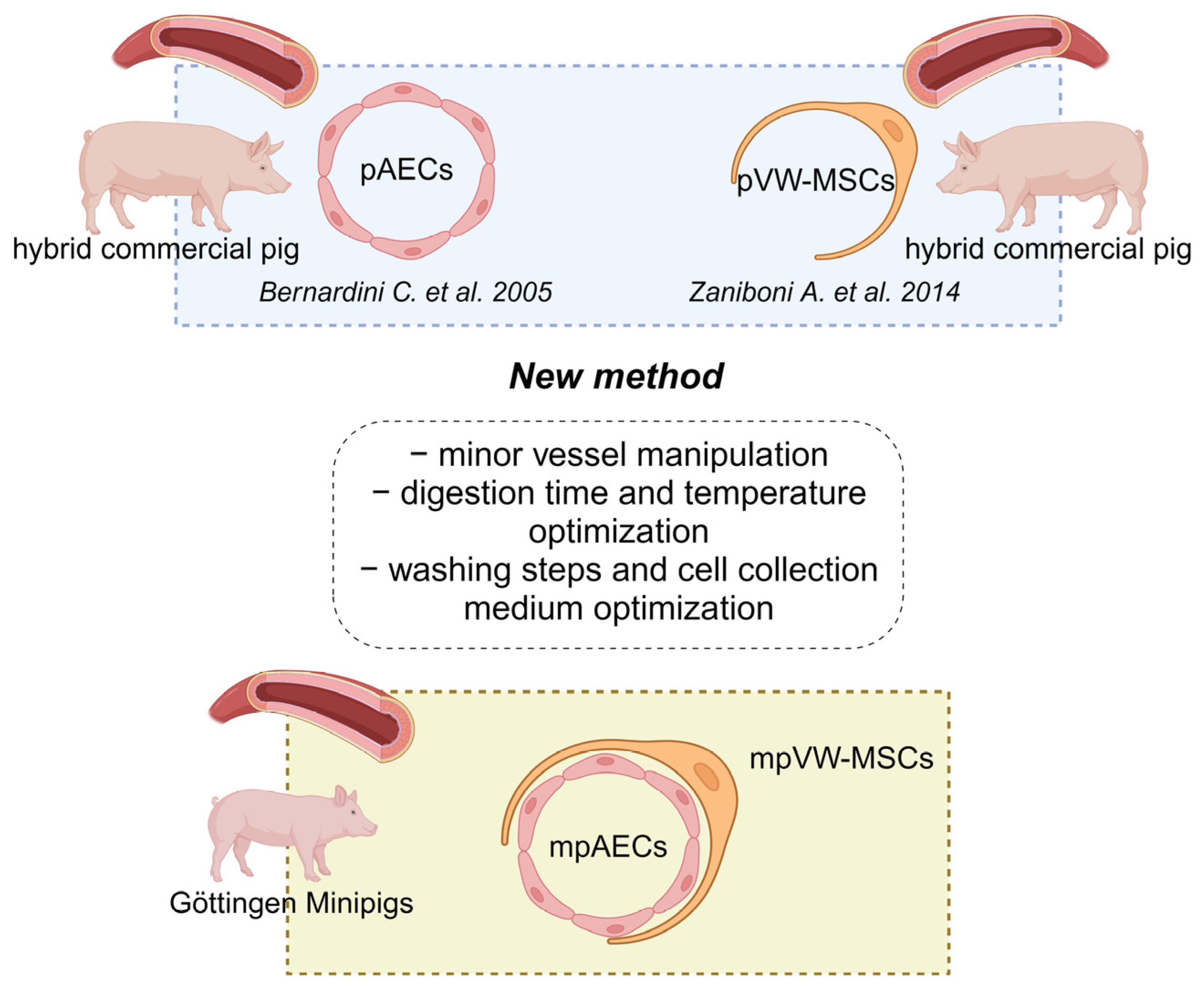 Animals 13 02601 g001 Animals 13 02601 g001