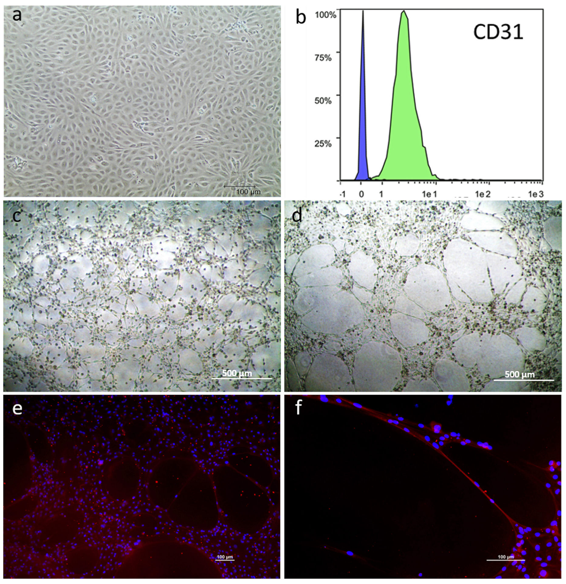 Animals 13 02601 g003 Animals 13 02601 g003