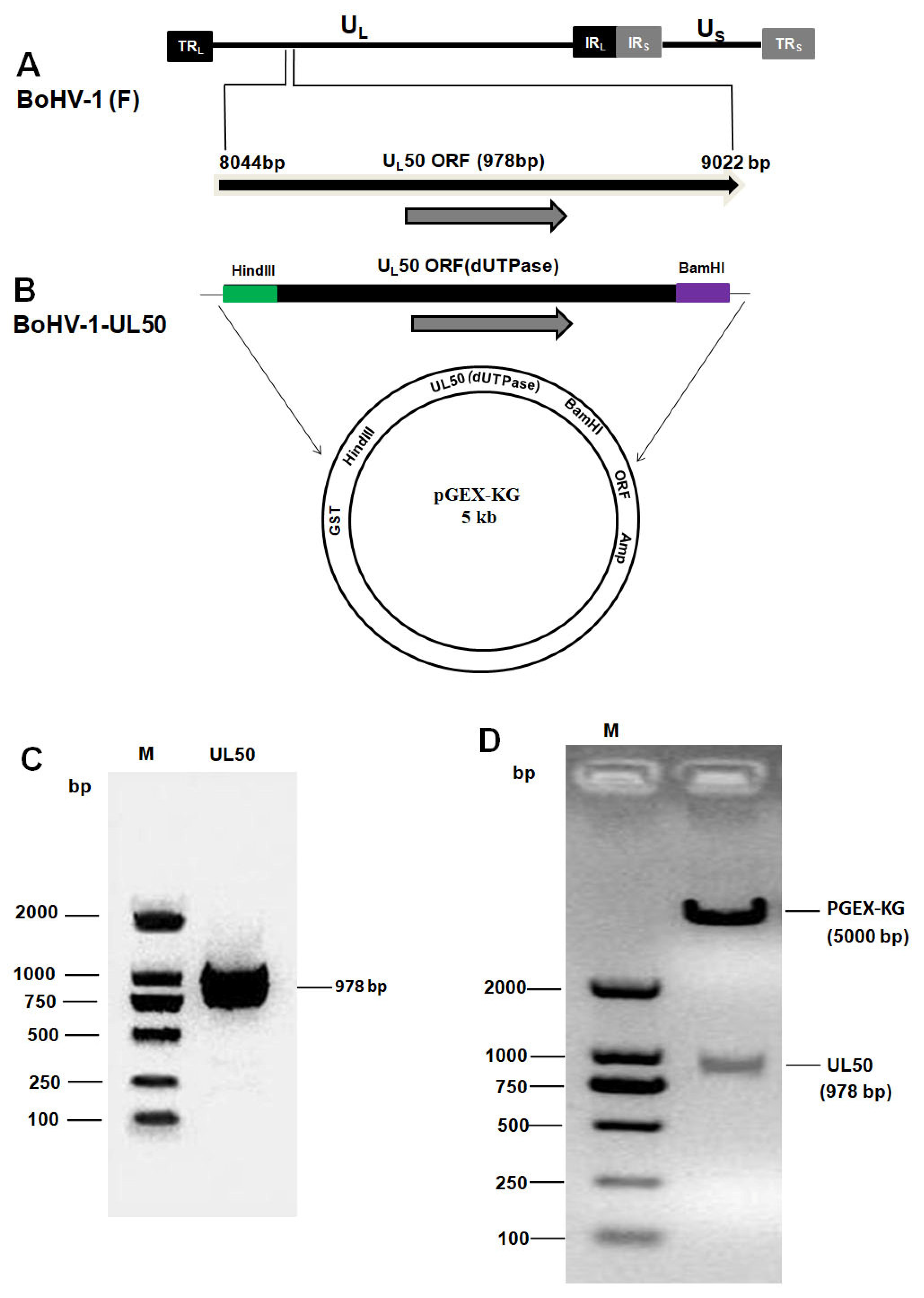 Animals 13 02607 g003
