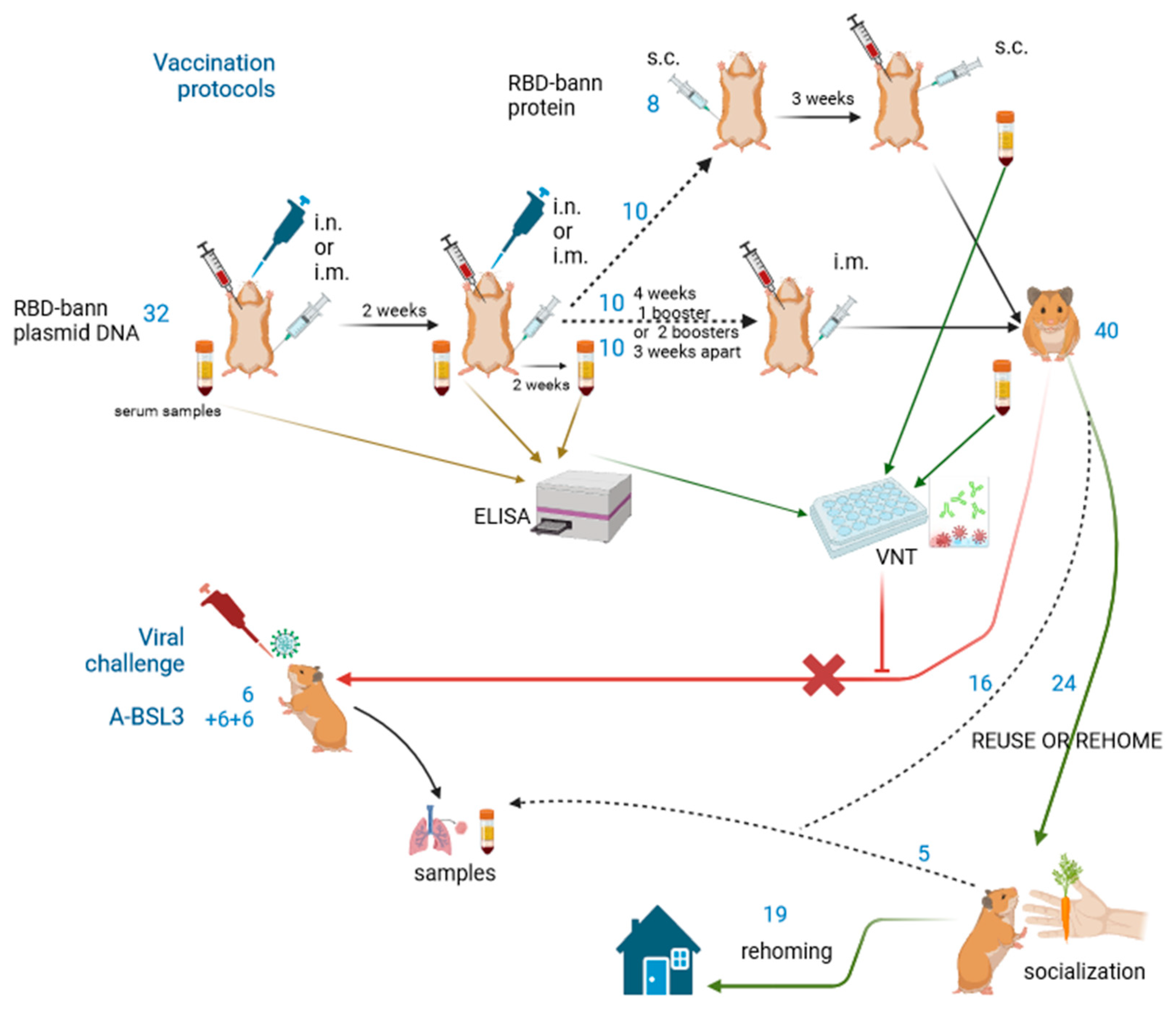 Animals 13 02616 g001 Animals 13 02616 g001