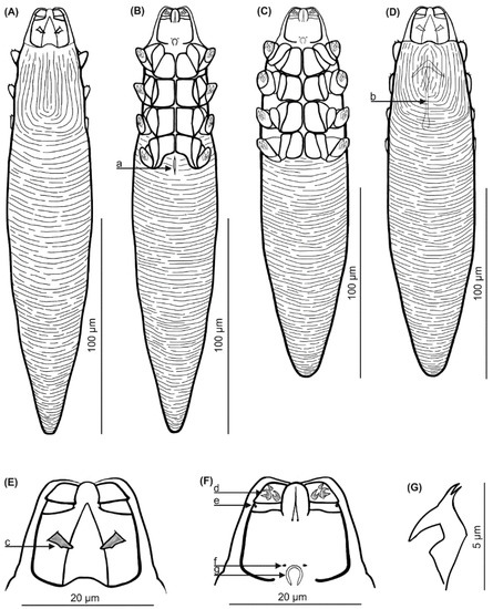 Animals 13 02619 g002