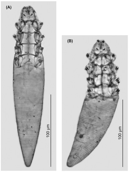 Animals 13 02619 g003