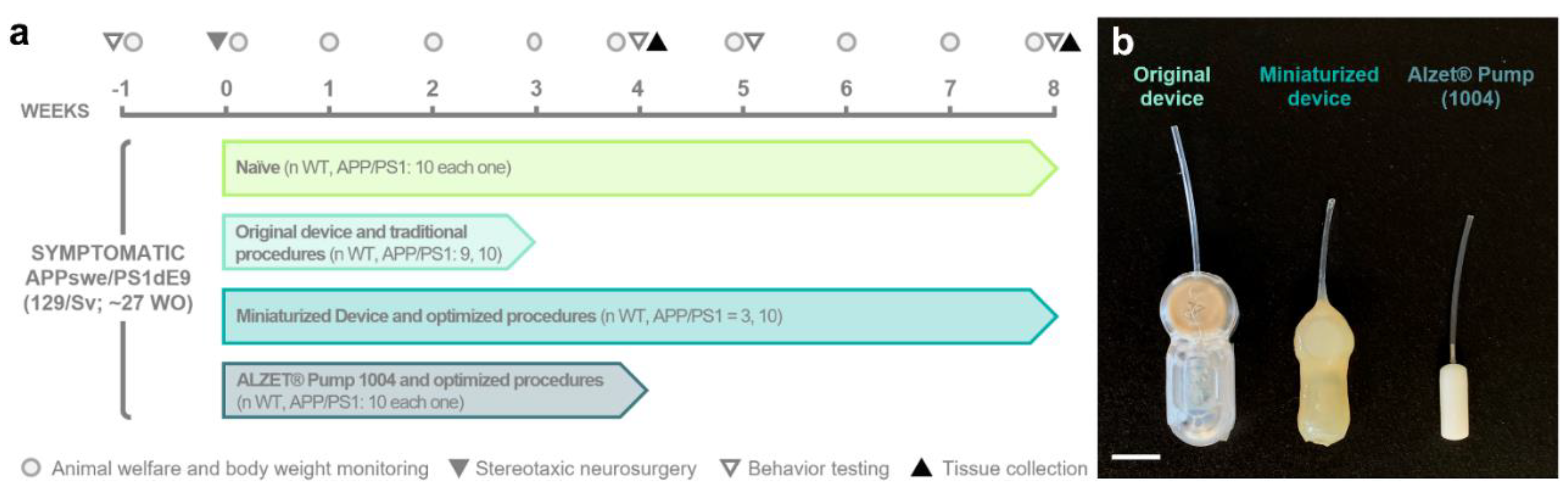 Animals 13 02627 g001