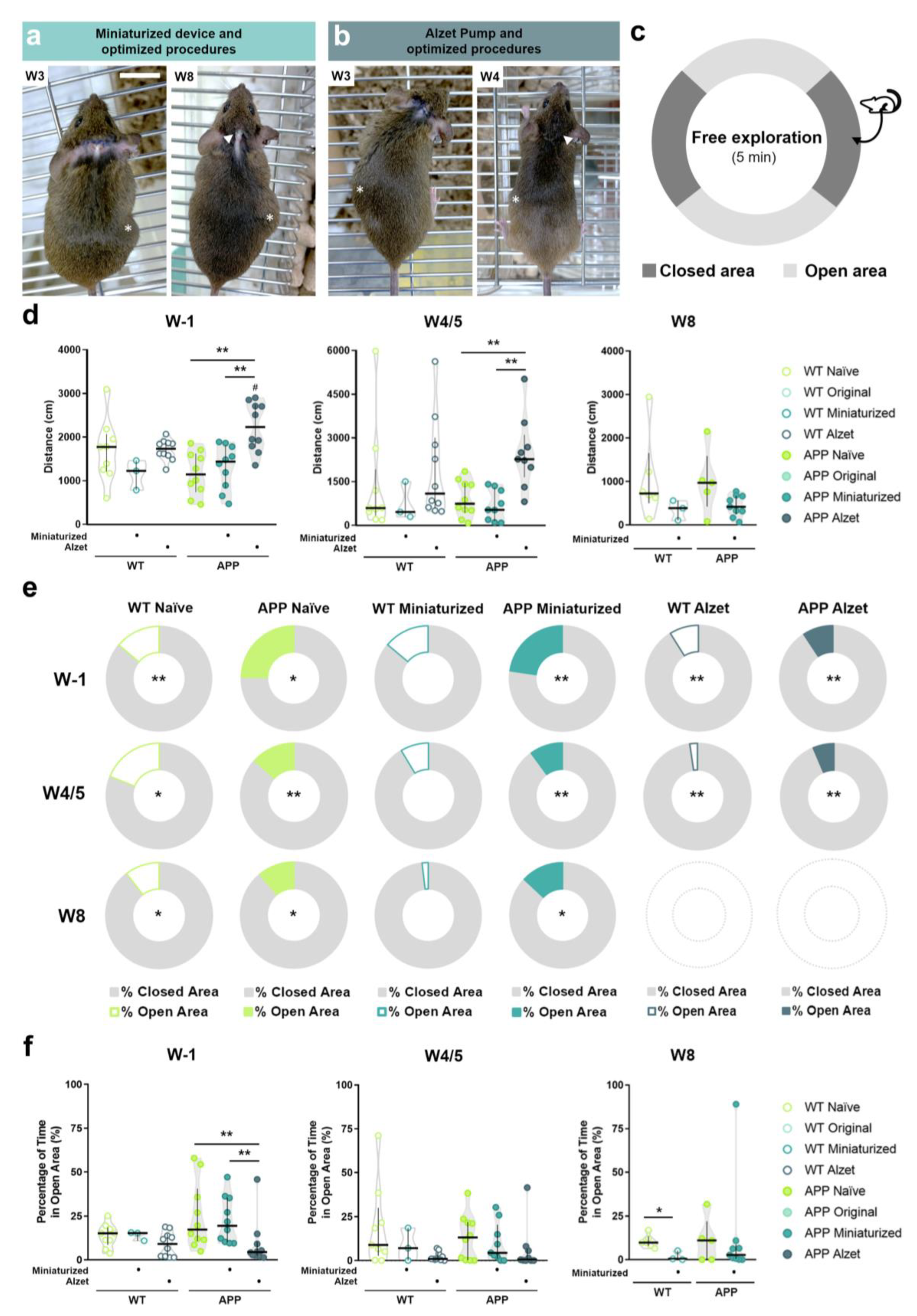 Animals 13 02627 g008