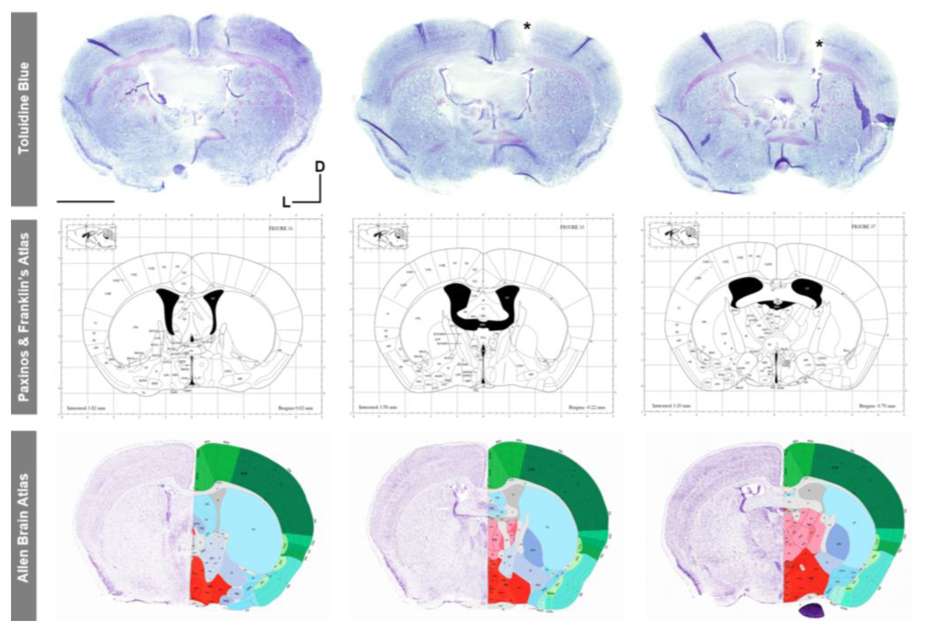 Animals 13 02627 g010