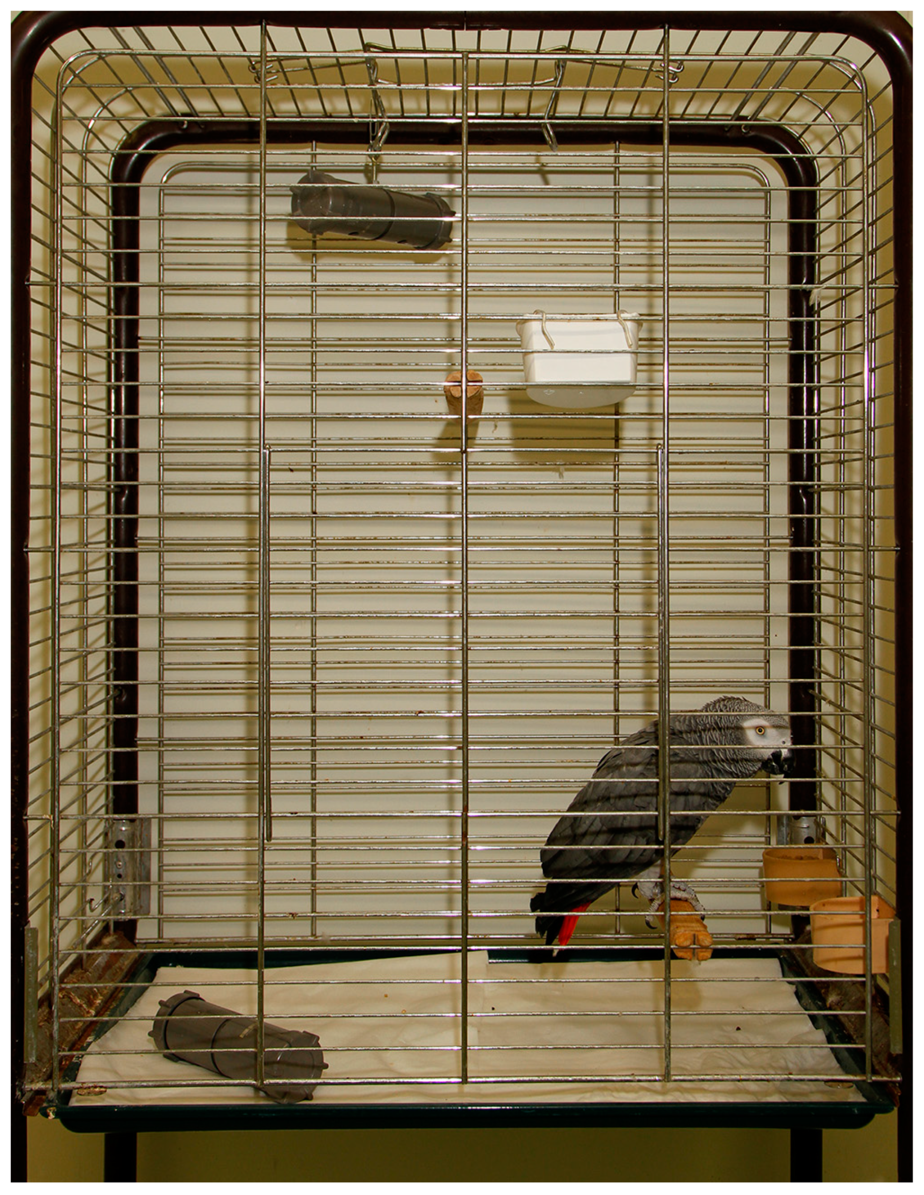 Animals 13 02635 g002