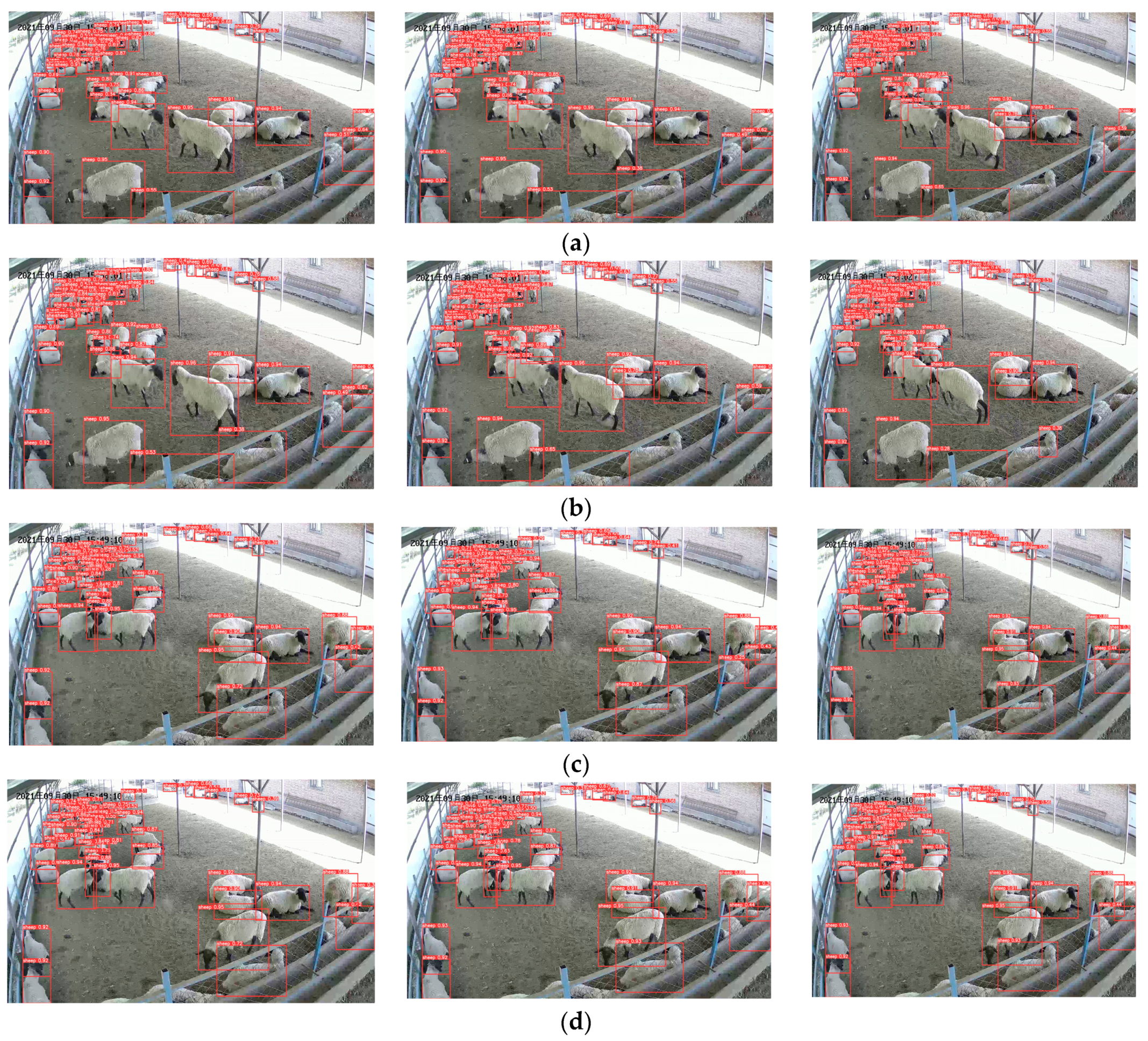 Animals 13 02636 g007