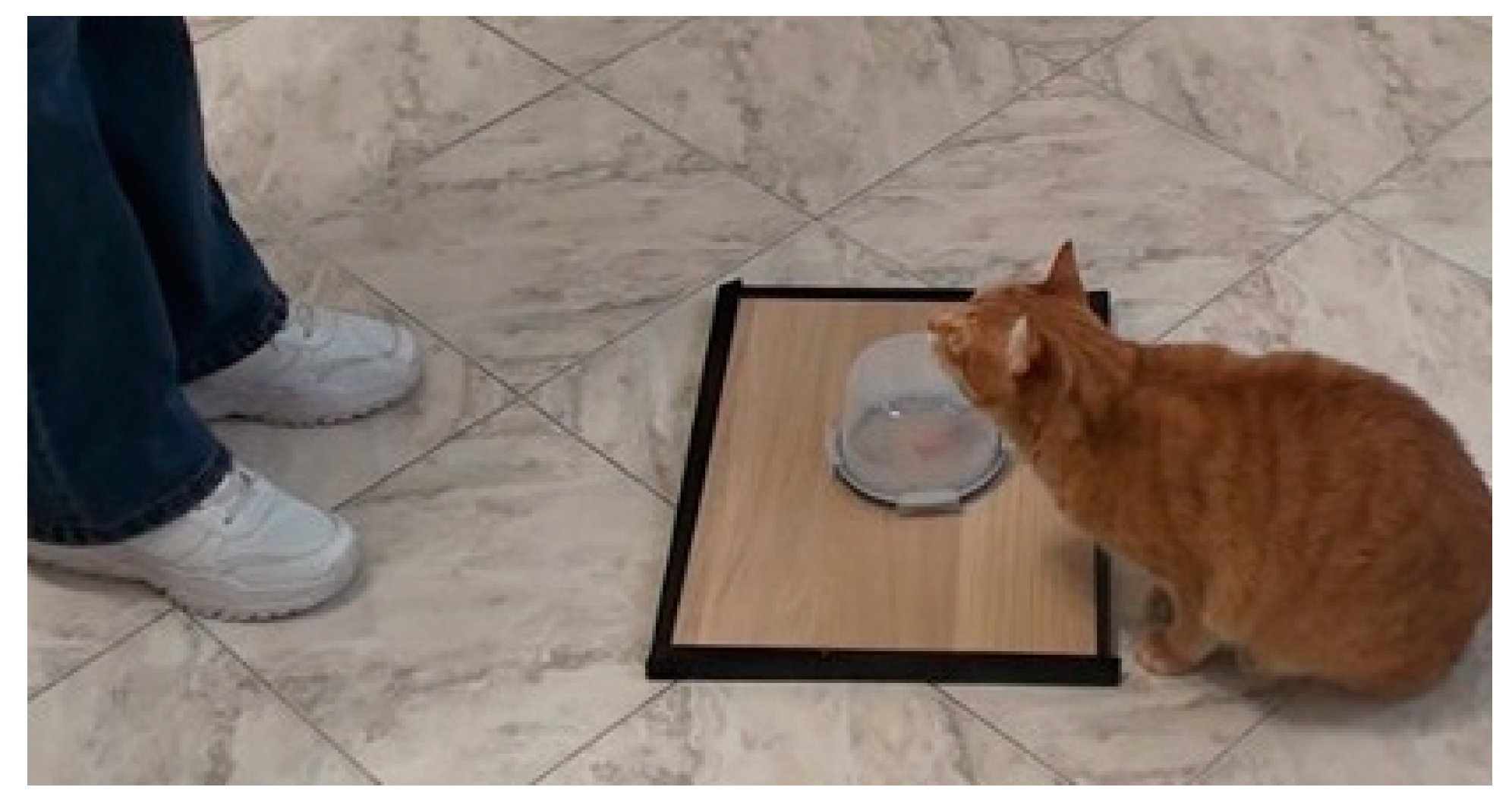 Animals 13 02679 g001