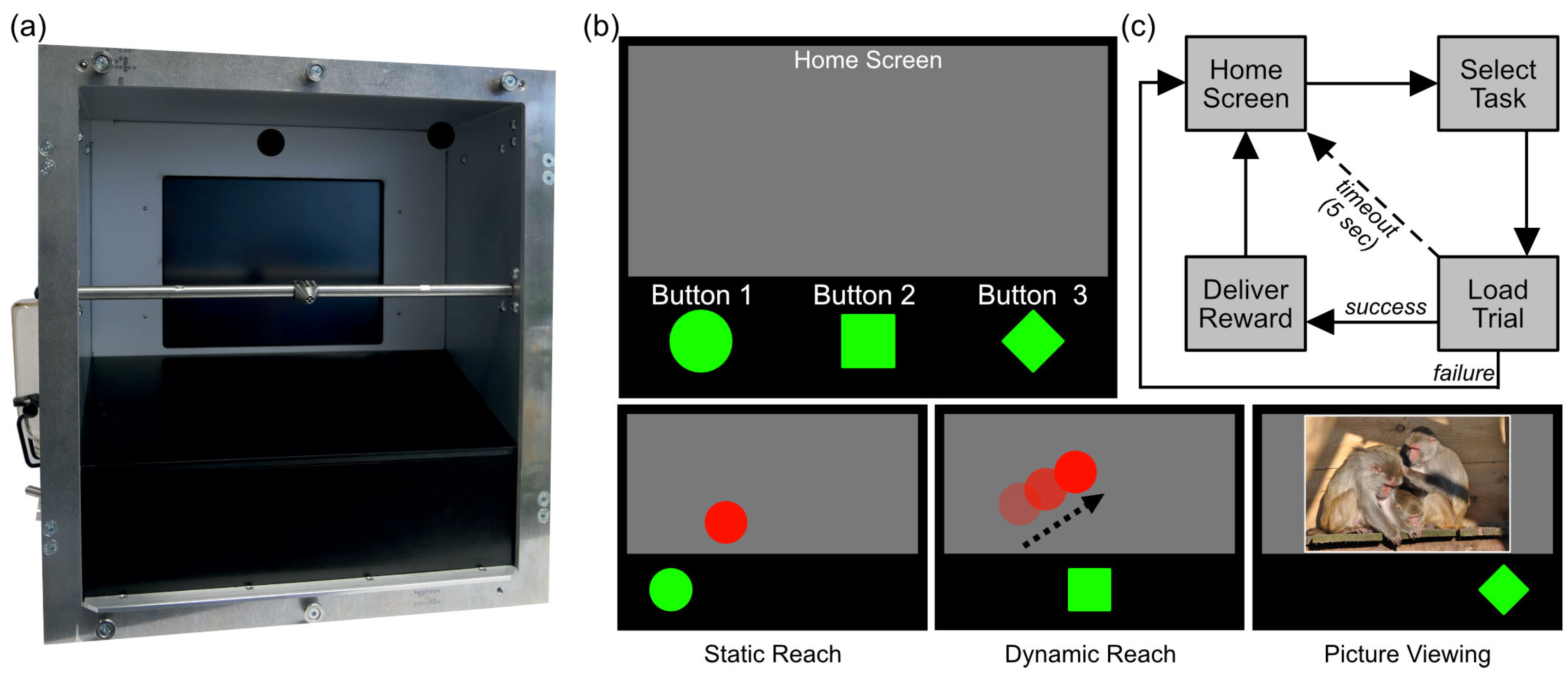 Animals 13 02702 g001