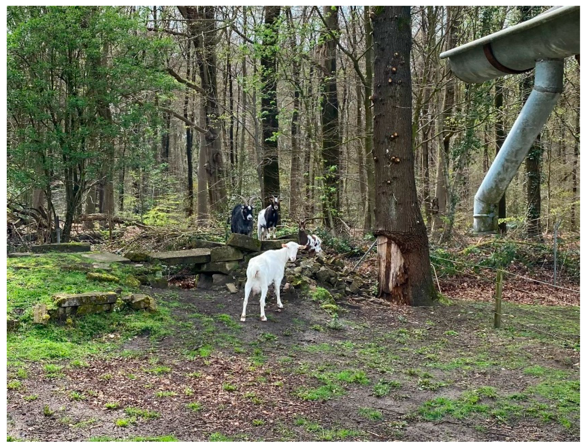 Animals 13 02727 g003