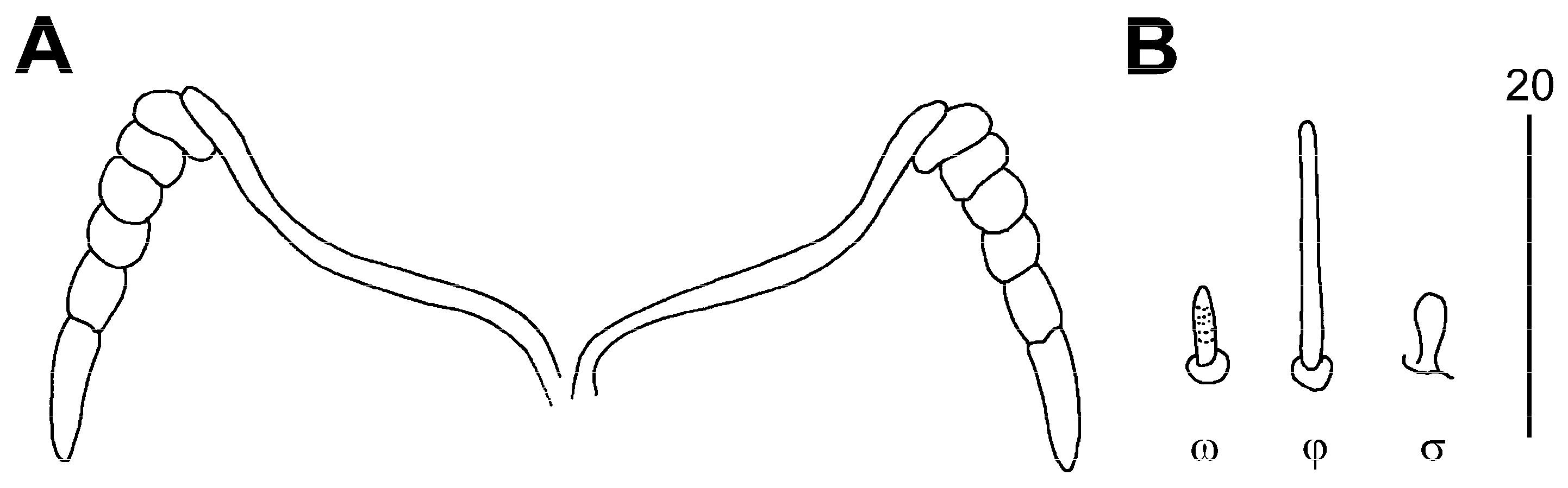 Animals 13 02728 g003