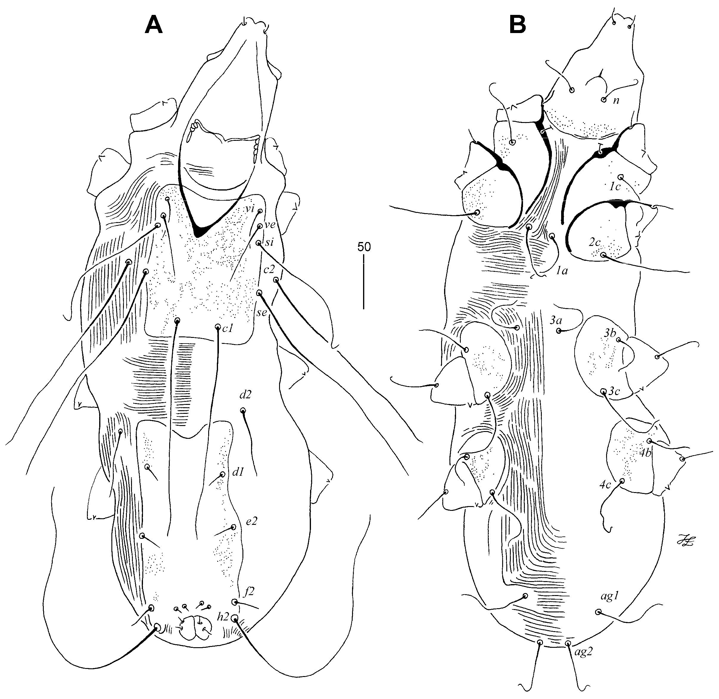 Animals 13 02728 g004