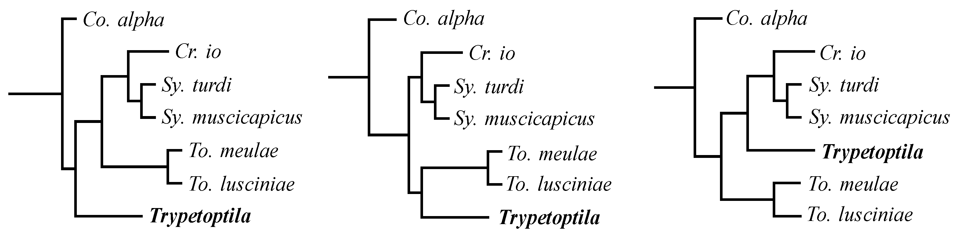 Animals 13 02728 g006