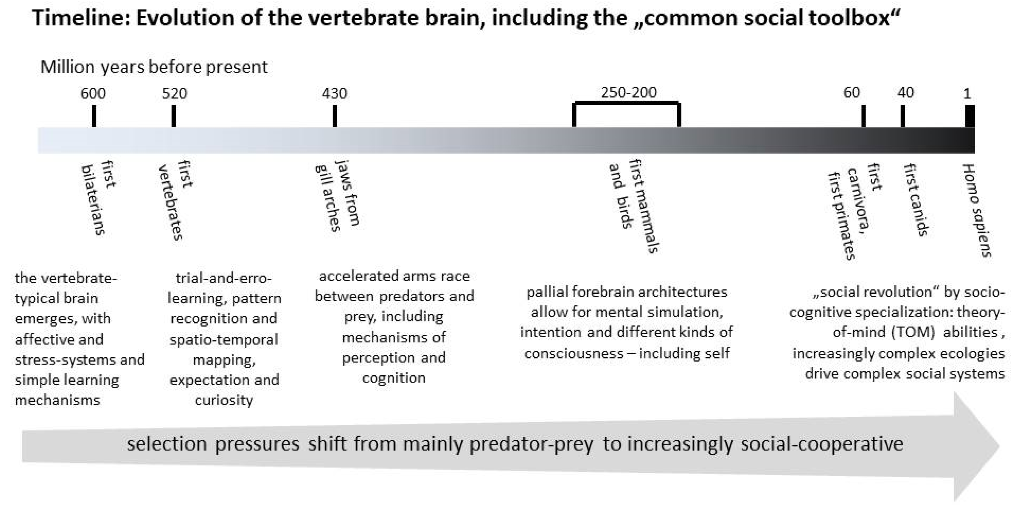 Animals 13 02729 g001