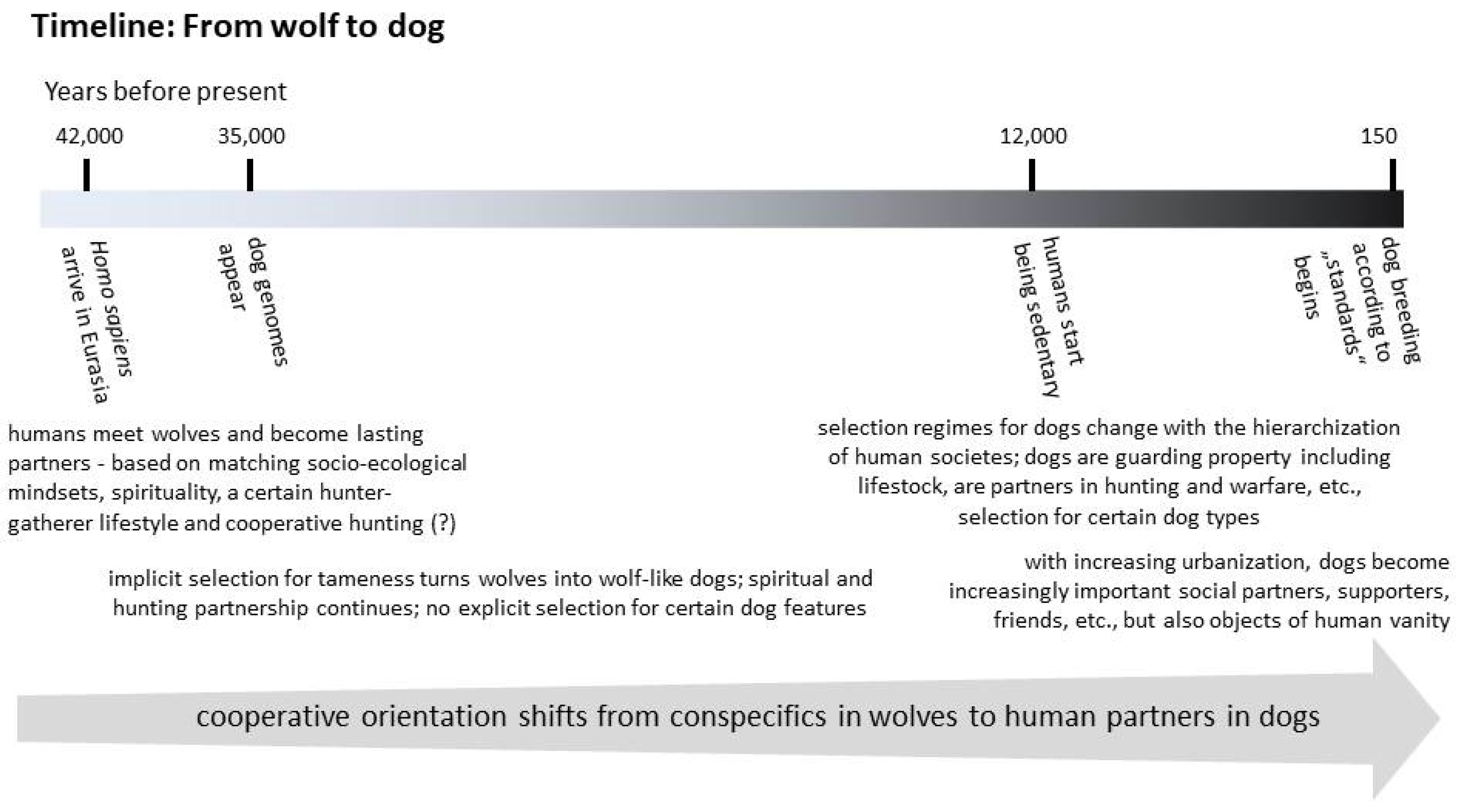 Animals 13 02729 g002