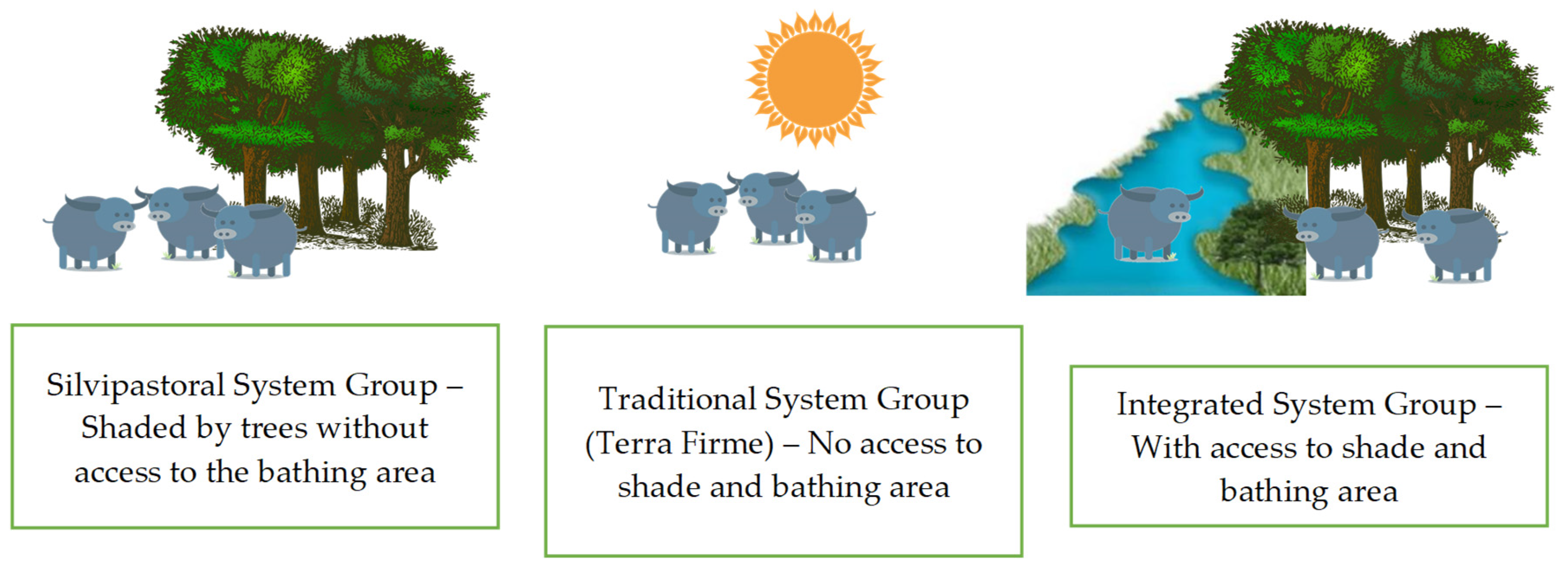 Animals 13 02735 g002