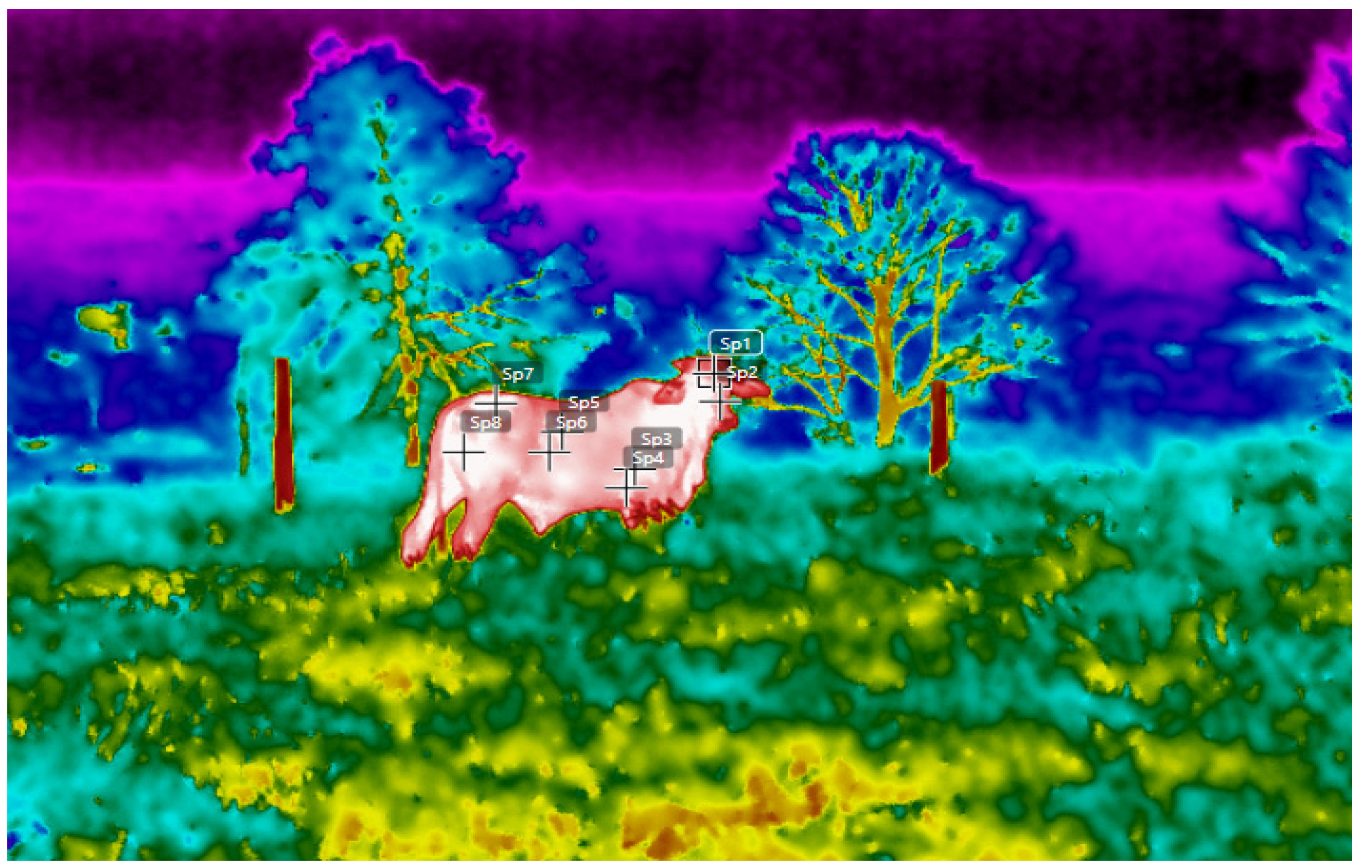 Animals 13 02735 g004