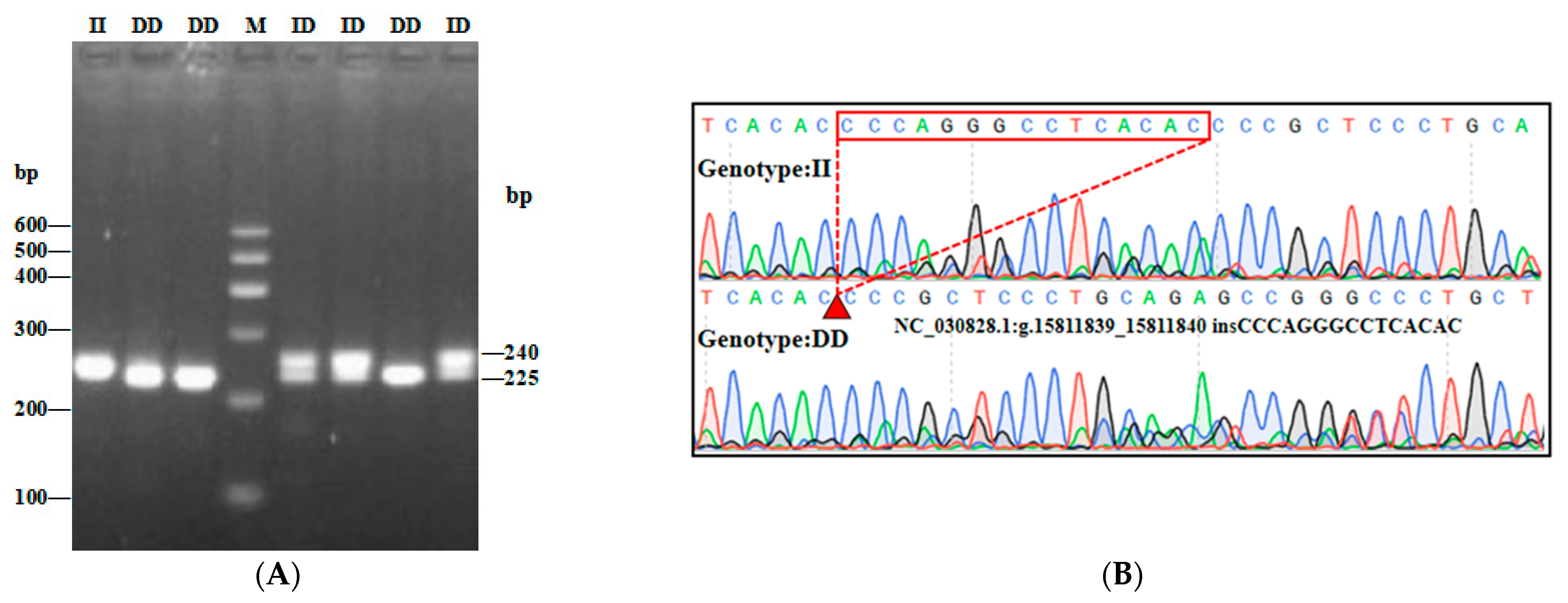 Animals 13 02746 g003