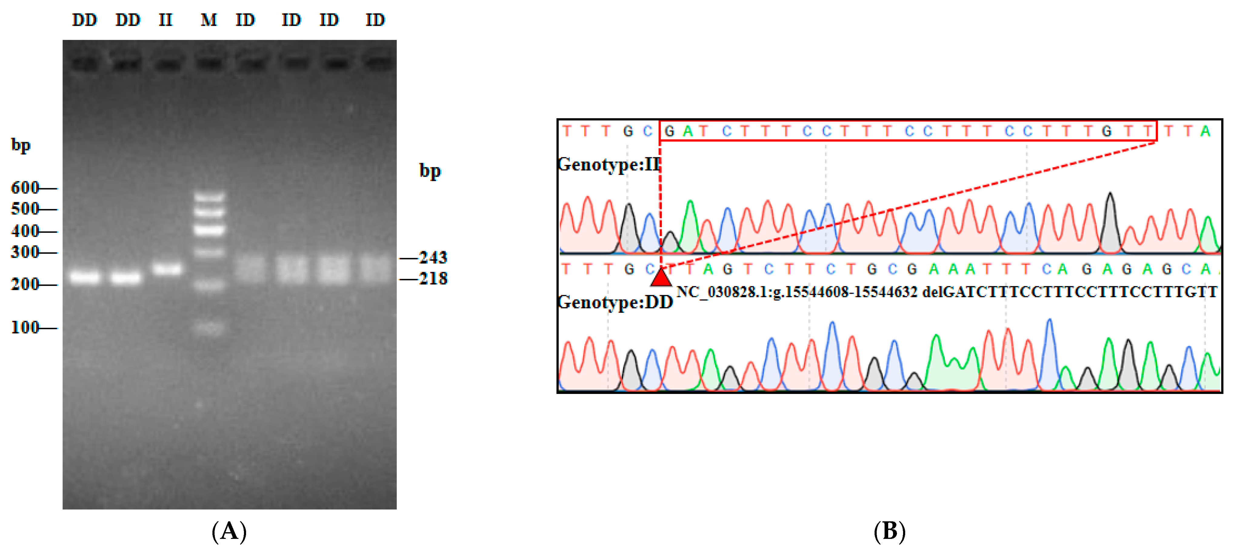 Animals 13 02746 g004