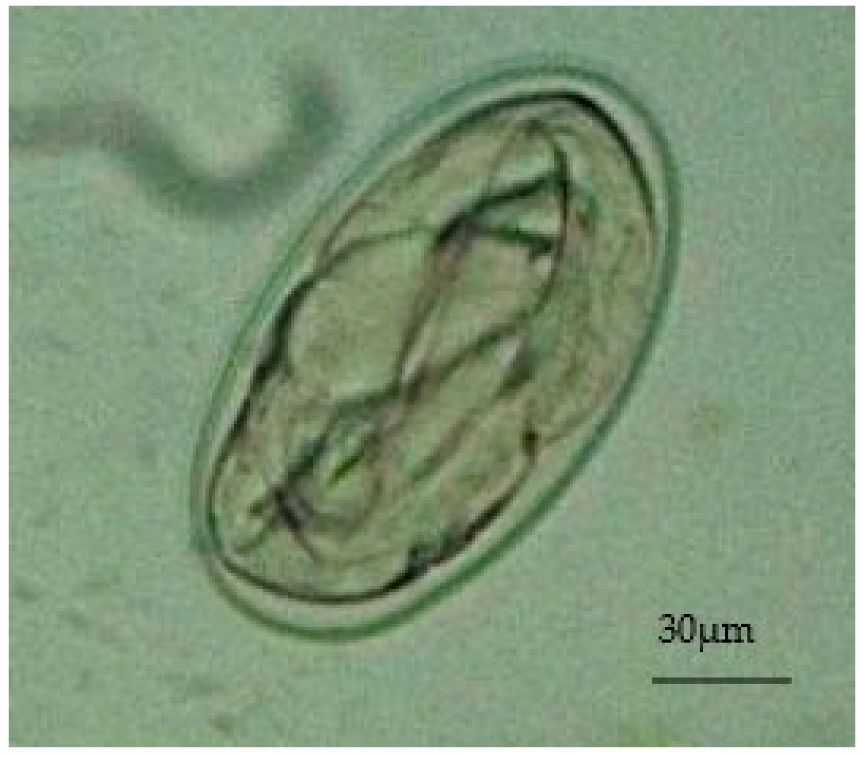 Animals 13 02750 g001