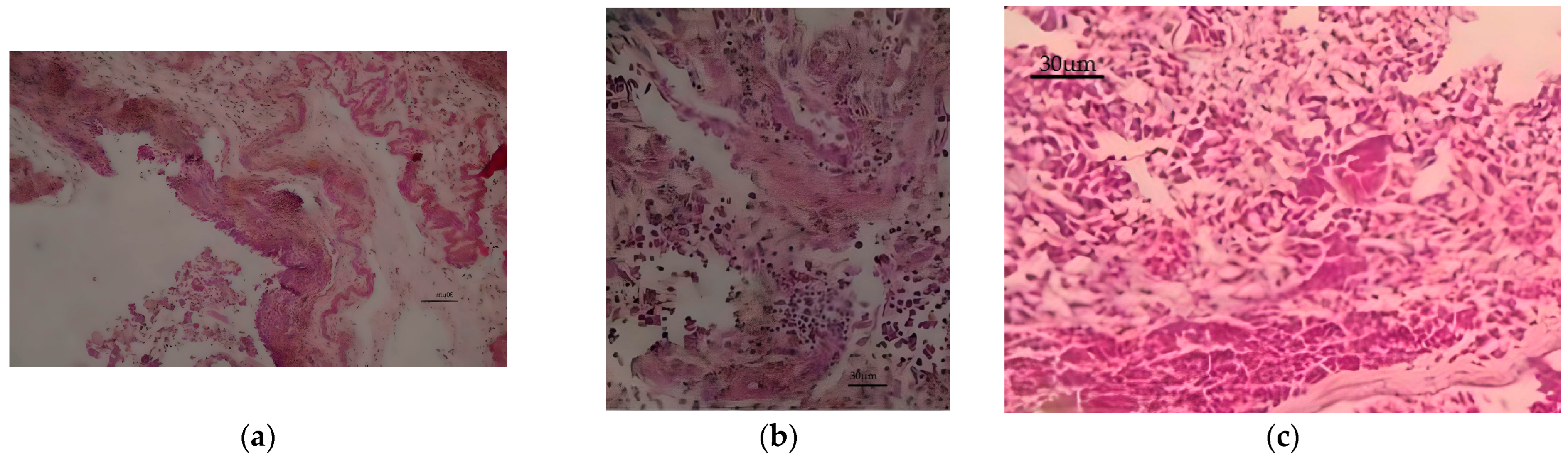 Animals 13 02750 g003